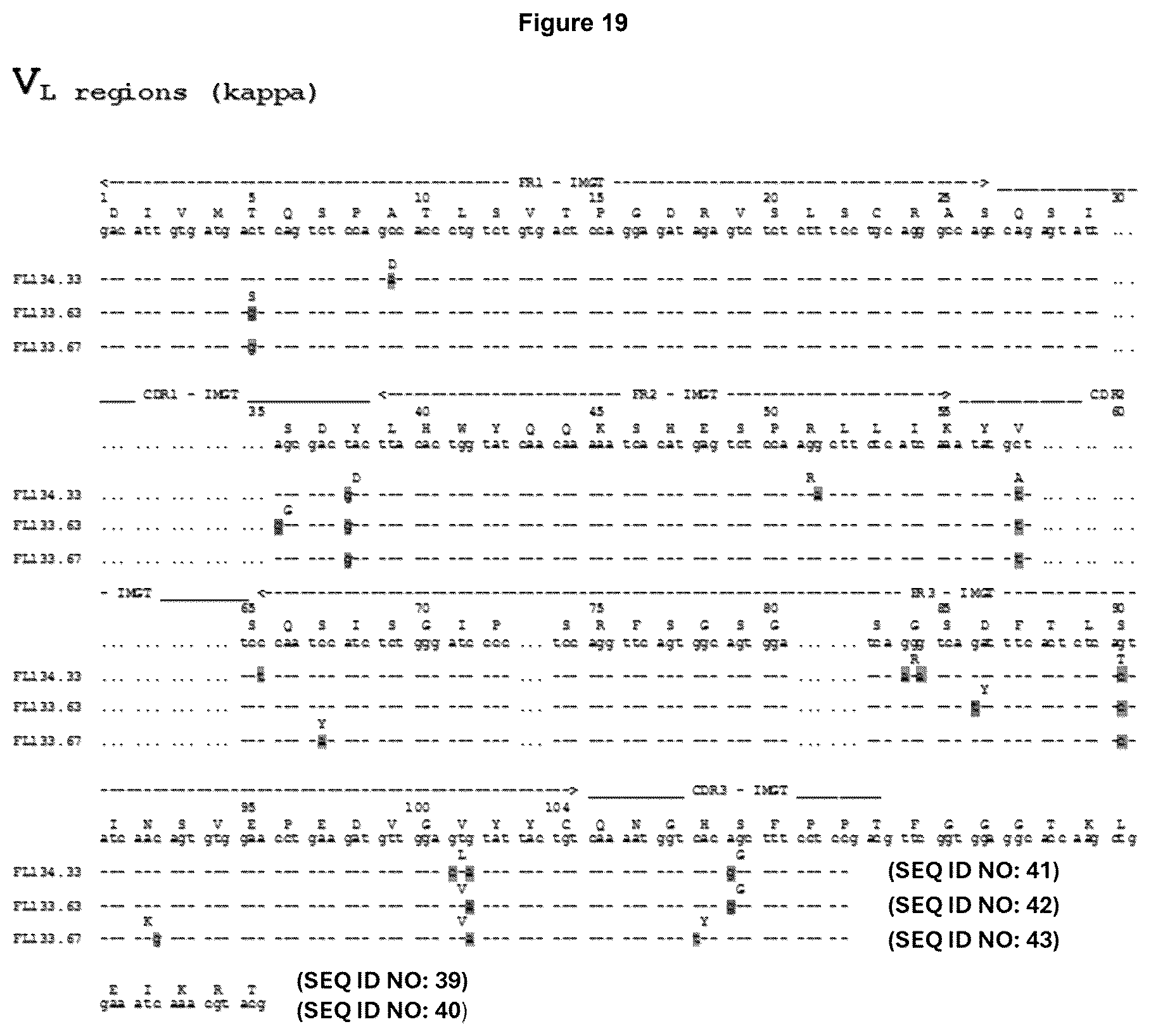 Patent US12552876 Figure 19 – Anti-fucosyl-GM1 antibodies