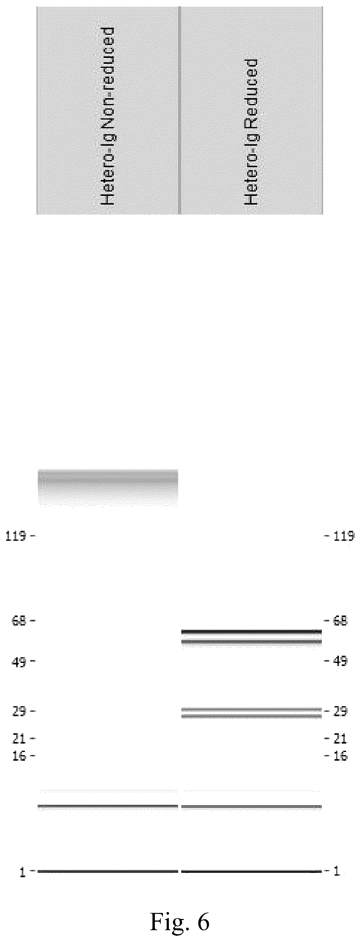 Patent US12552877 Figure 6 – Anti-TL1A antibodies and uses thereof