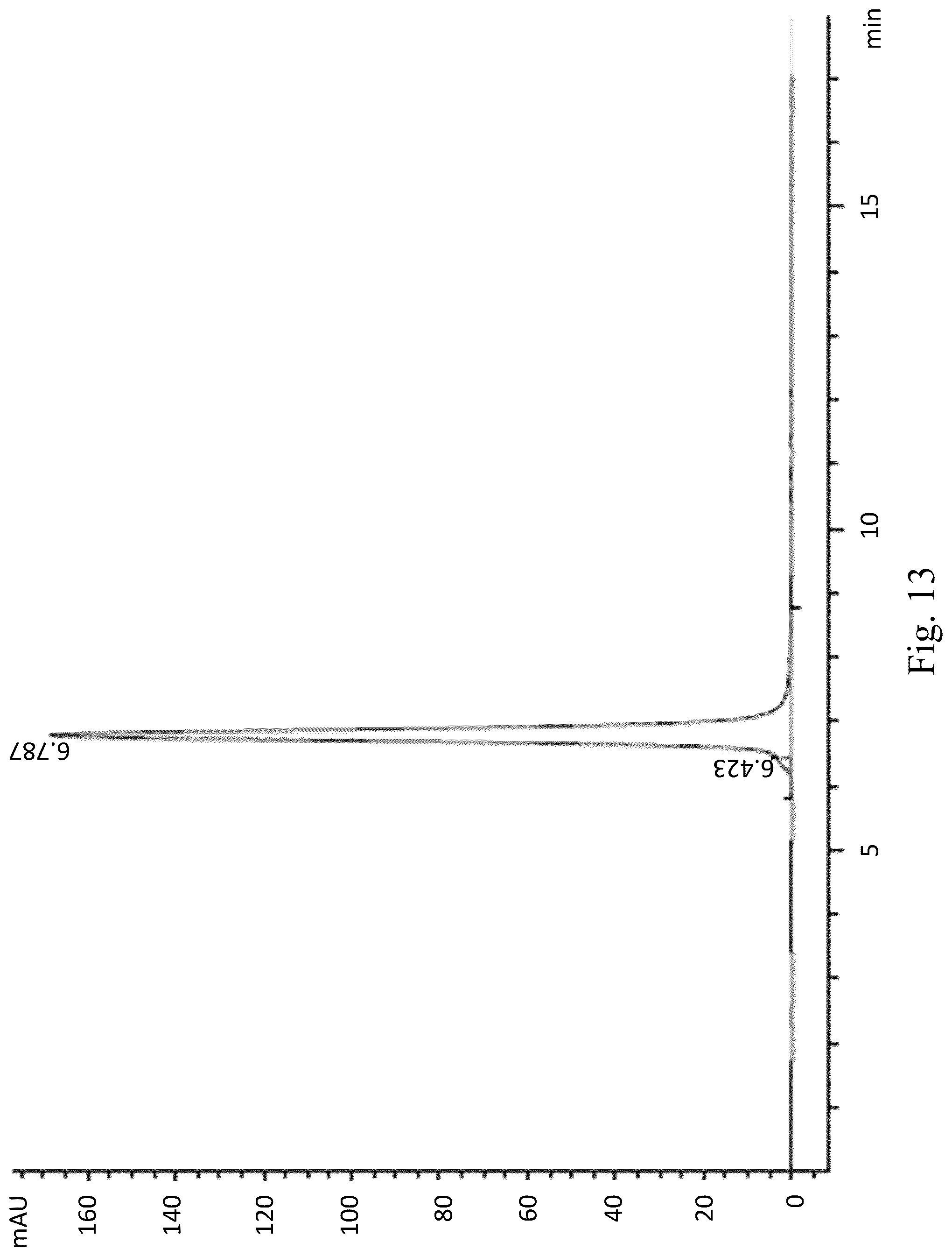 Patent US12552877 Figure 13 – Anti-TL1A antibodies and uses thereof
