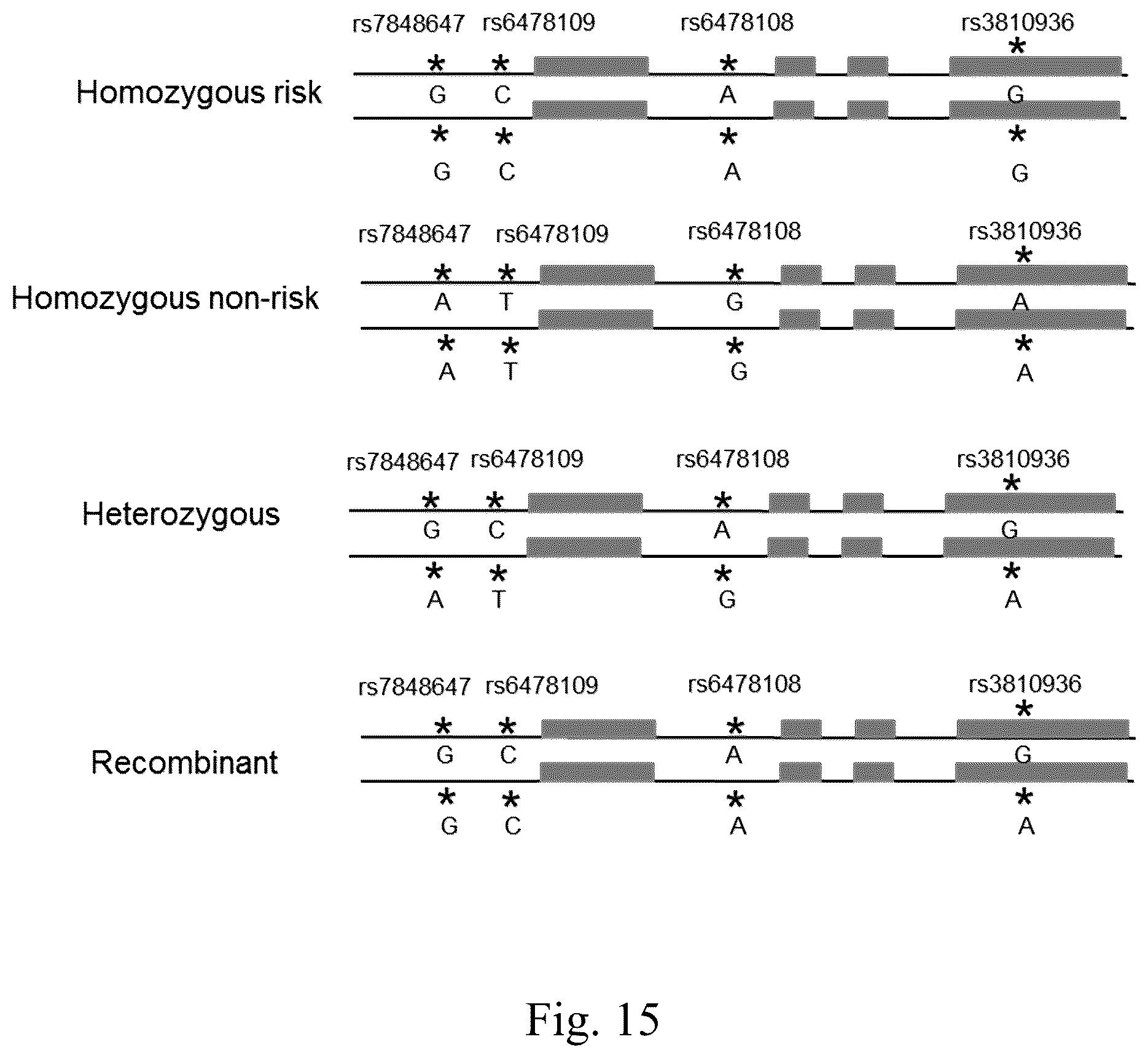 Patent US12552877 Figure 15 – Anti-TL1A antibodies and uses thereof