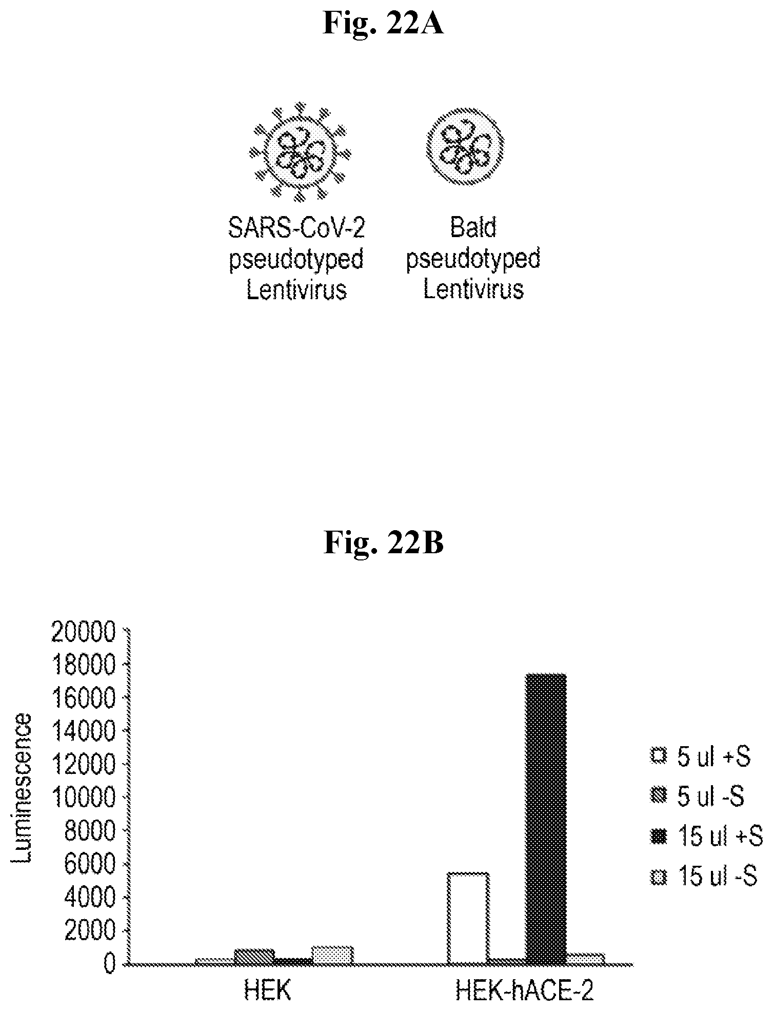Patent US12552882 Figure 14 – Polymeric disinfectants and uses thereof