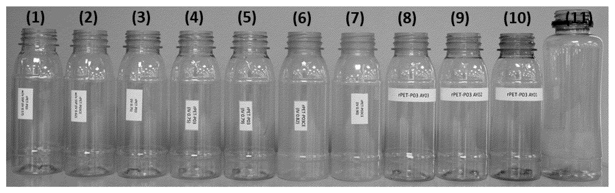 Patent US12552911 Figure 1 – Preparation of recycled polyethylene terephthalate pellets, and bottles formed therefrom