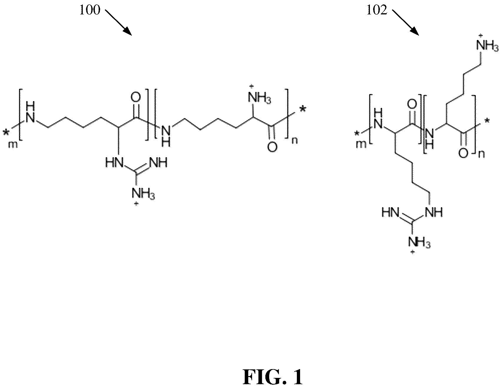 Patent US12552933 Figure 1 – Polylysine polymers with antimicrobial and/or anticancer activity