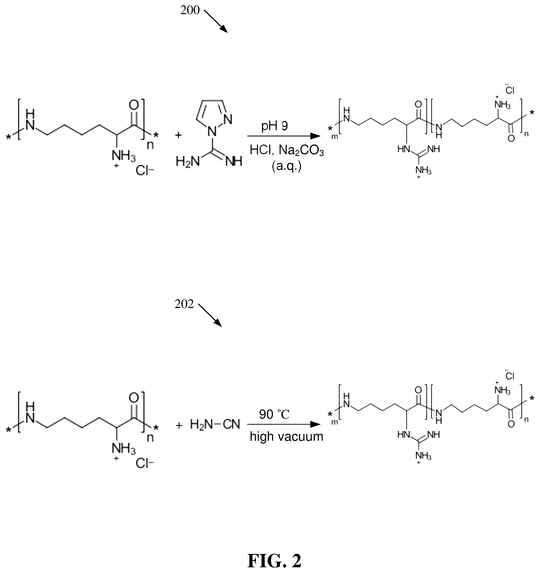 Patent US12552933 Figure 2 – Polylysine polymers with antimicrobial and/or anticancer activity