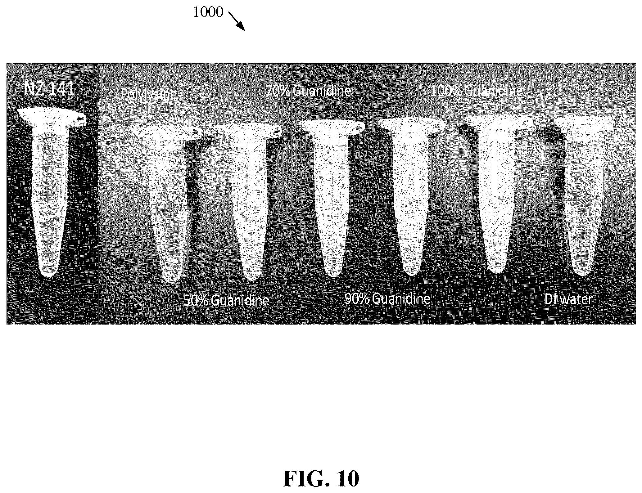 Patent US12552933 Figure 11 – Polylysine polymers with antimicrobial and/or anticancer activity