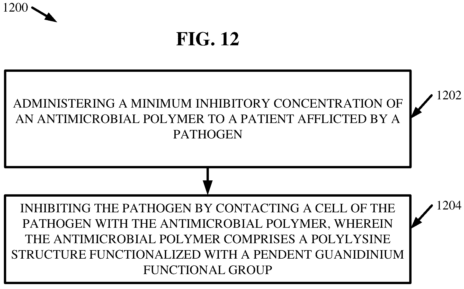 Patent US12552933 Figure 13 – Polylysine polymers with antimicrobial and/or anticancer activity