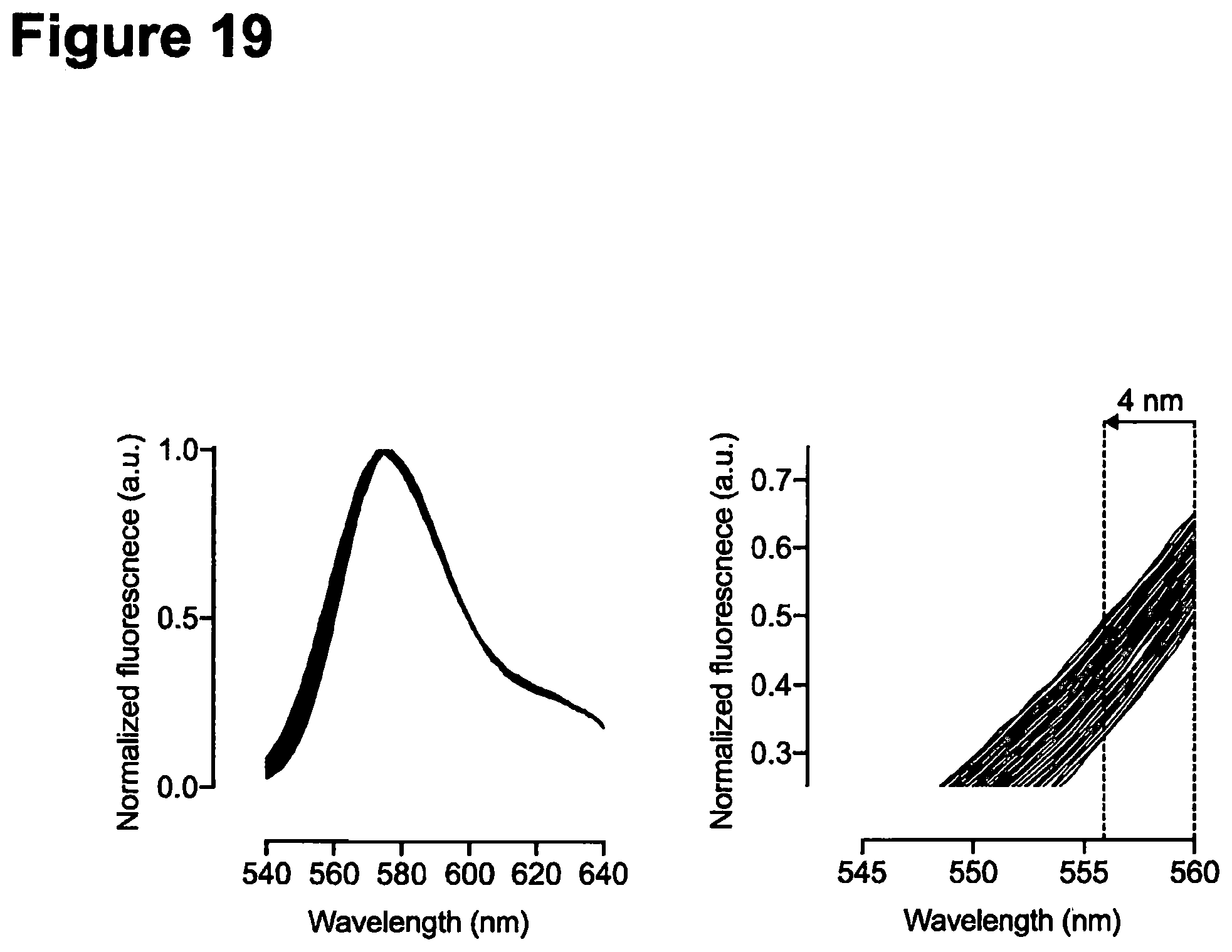 Patent US12552938 Figure 19 – Deuterated fluorophores