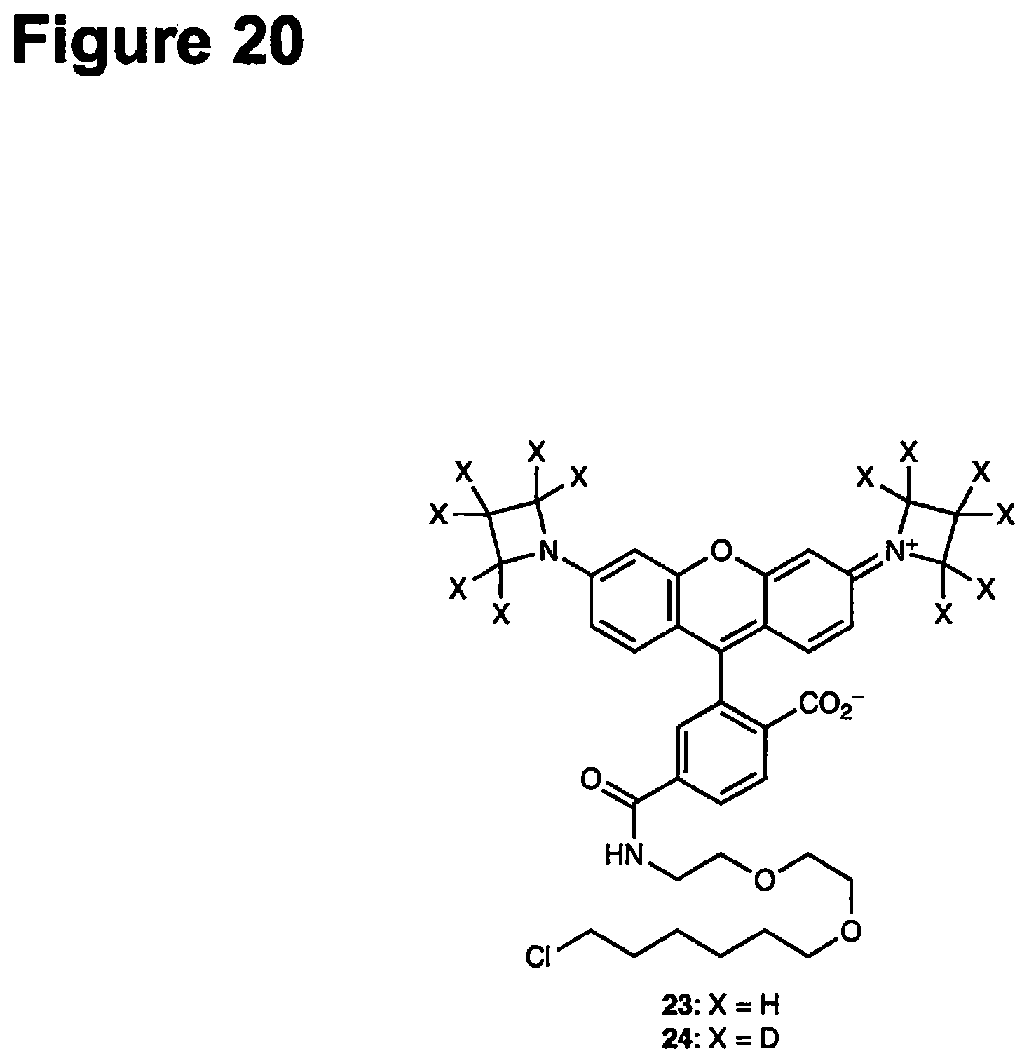 Patent US12552938 Figure 20 – Deuterated fluorophores