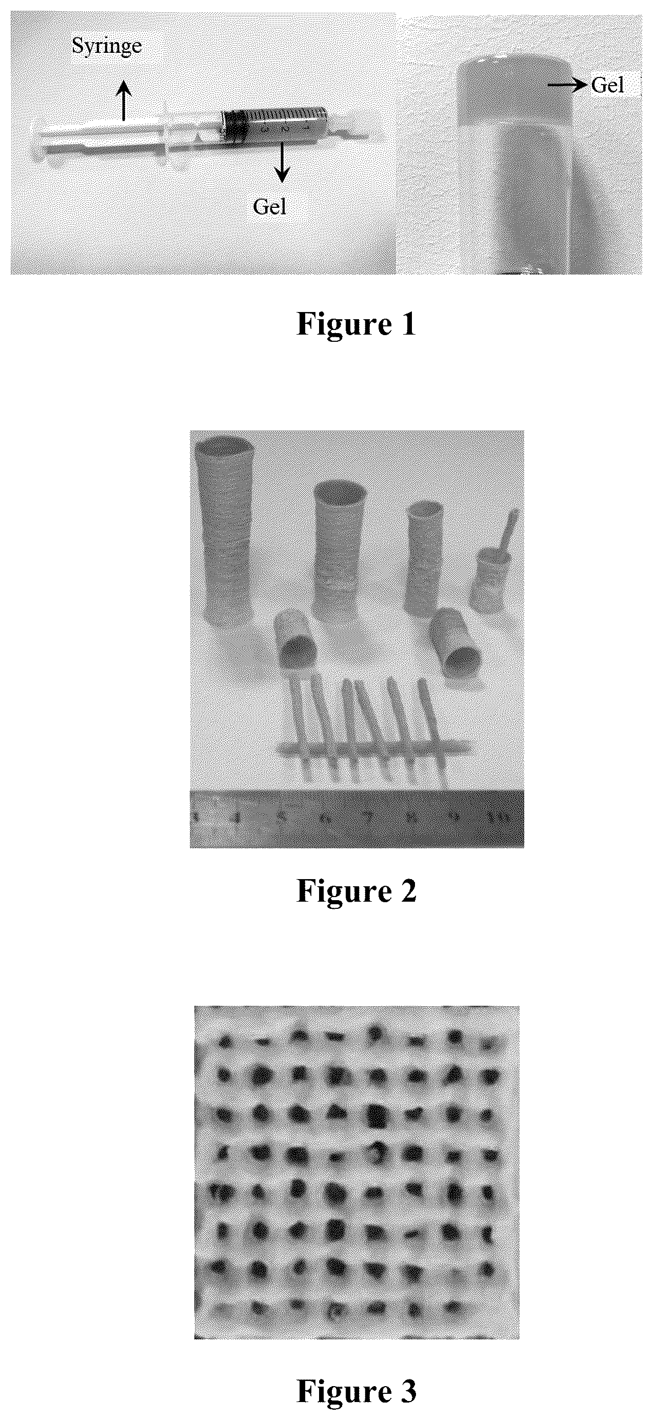 Patent US12552947 Figure 1 – Bioink for 3D printing, the preparation method and usage
