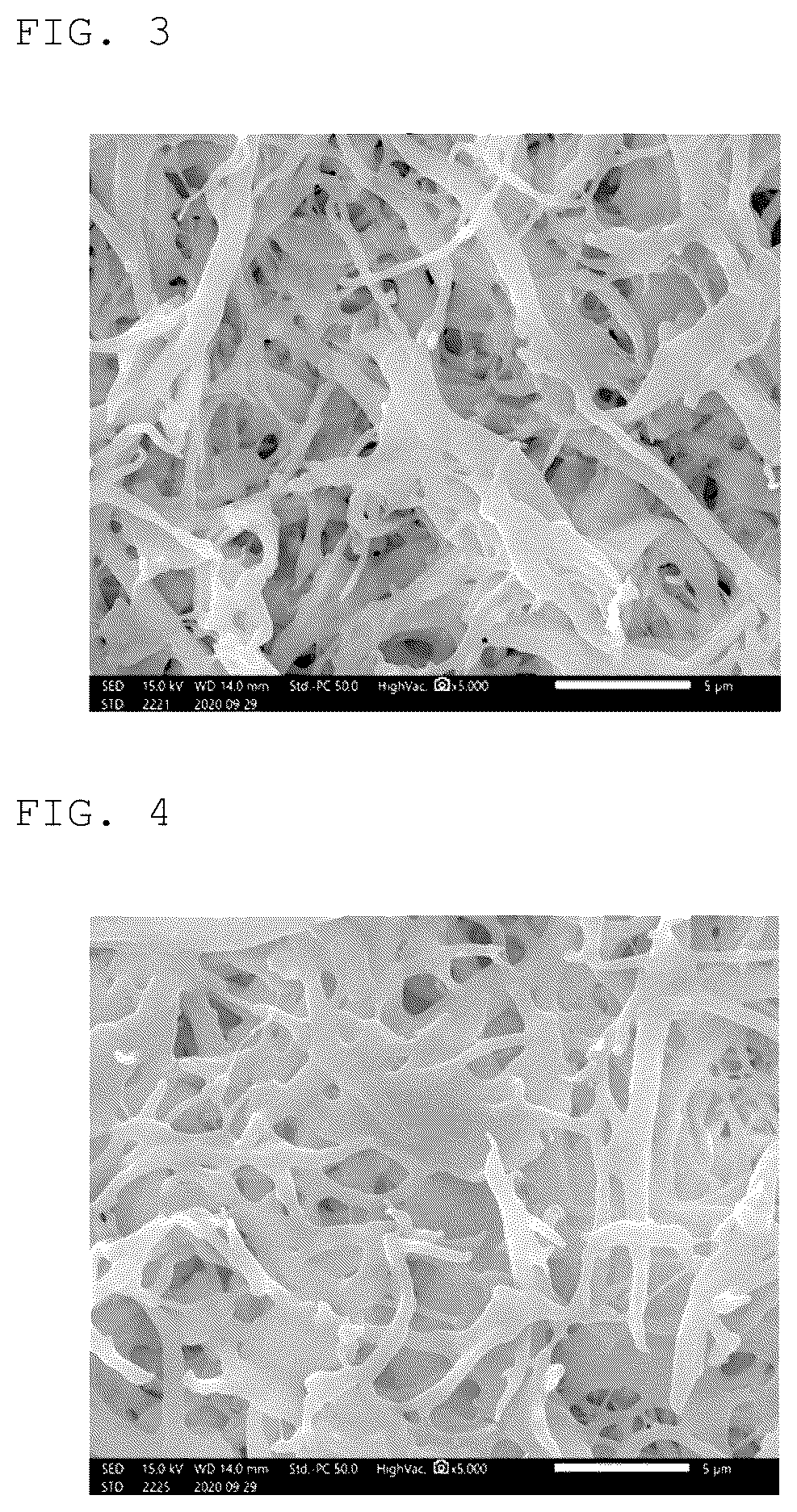 Patent US12552990 Figure 2 – Porous body and method for manufacturing porous body