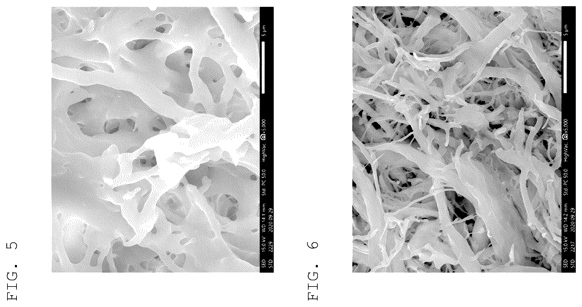 Patent US12552990 Figure 3 – Porous body and method for manufacturing porous body