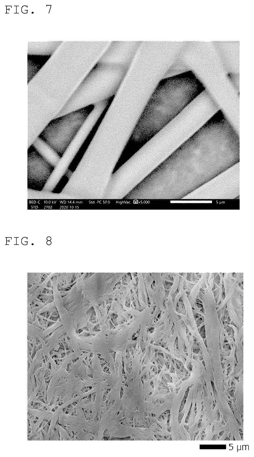 Patent US12552990 Figure 4 – Porous body and method for manufacturing porous body