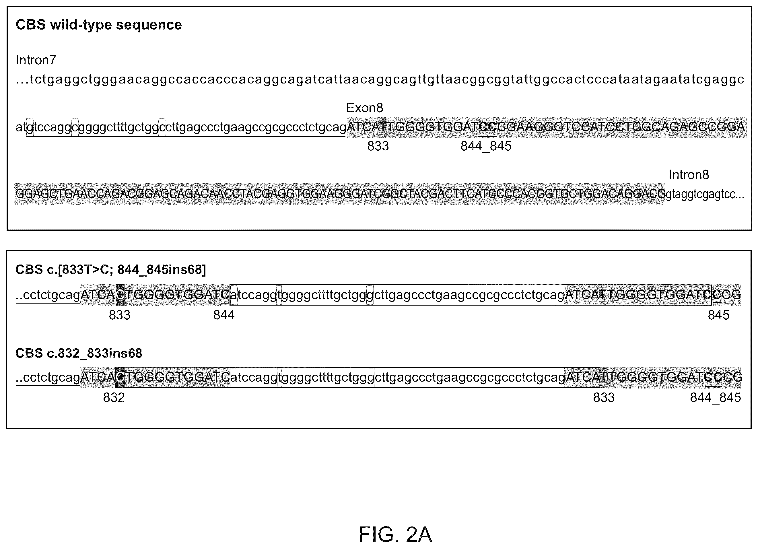 Patent US12562237 Figure 2 – Methods and systems for detection and phasing of complex genetic variants