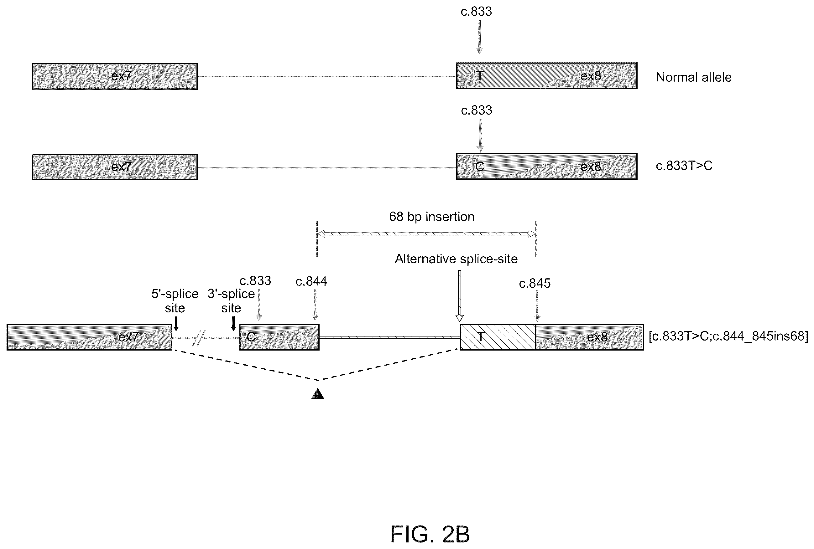 Patent US12562237 Figure 3 – Methods and systems for detection and phasing of complex genetic variants