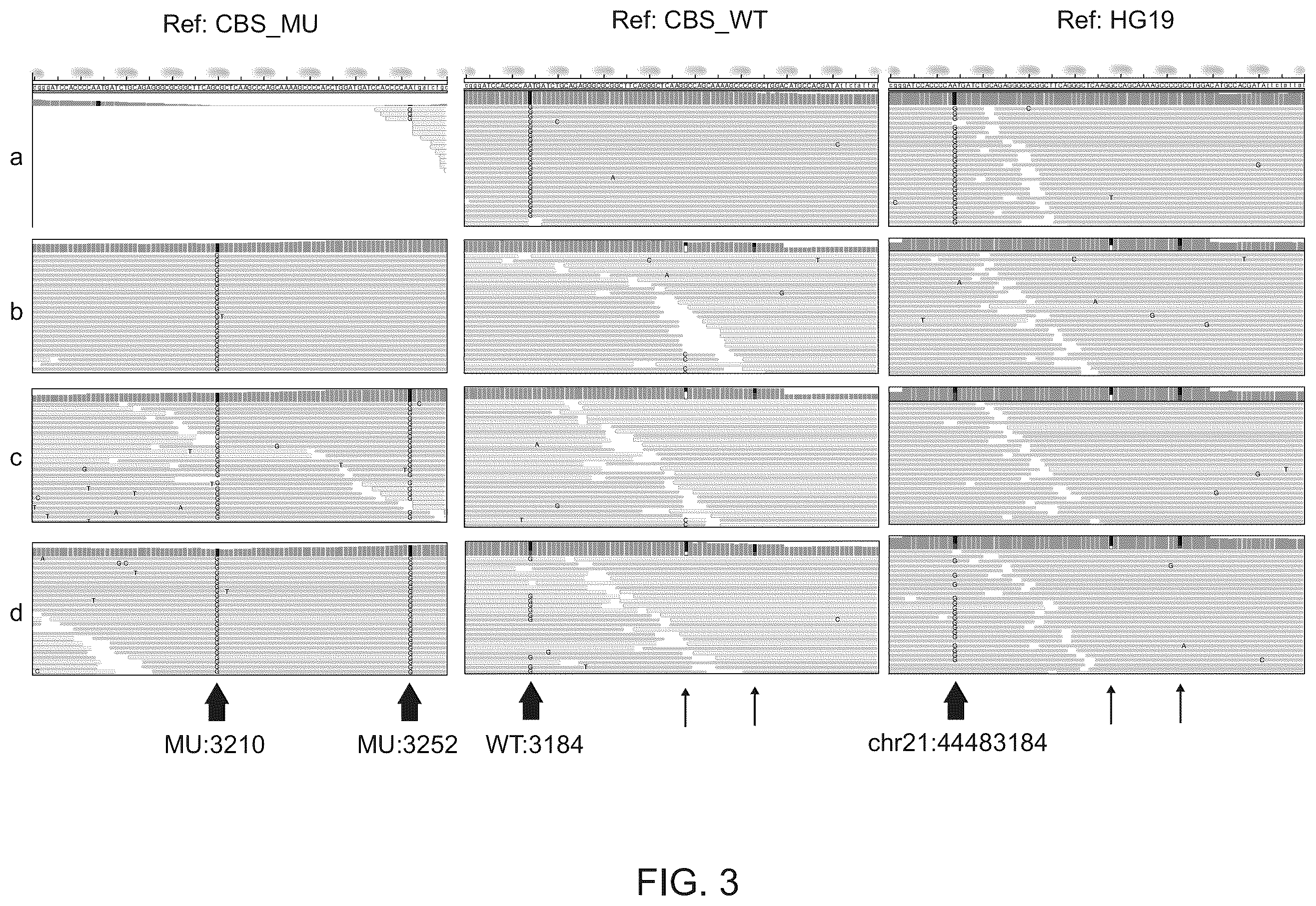 Patent US12562237 Figure 4 – Methods and systems for detection and phasing of complex genetic variants