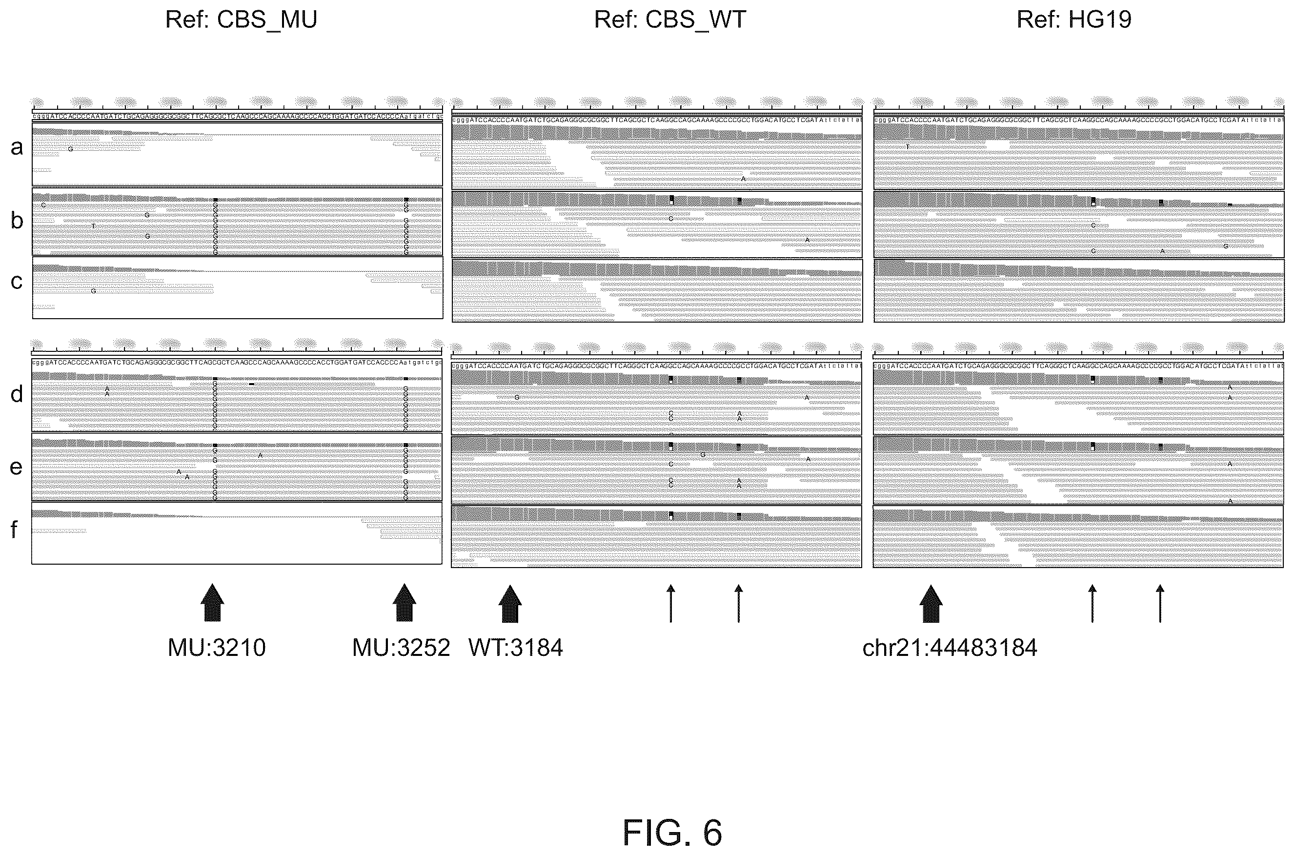Patent US12562237 Figure 7 – Methods and systems for detection and phasing of complex genetic variants