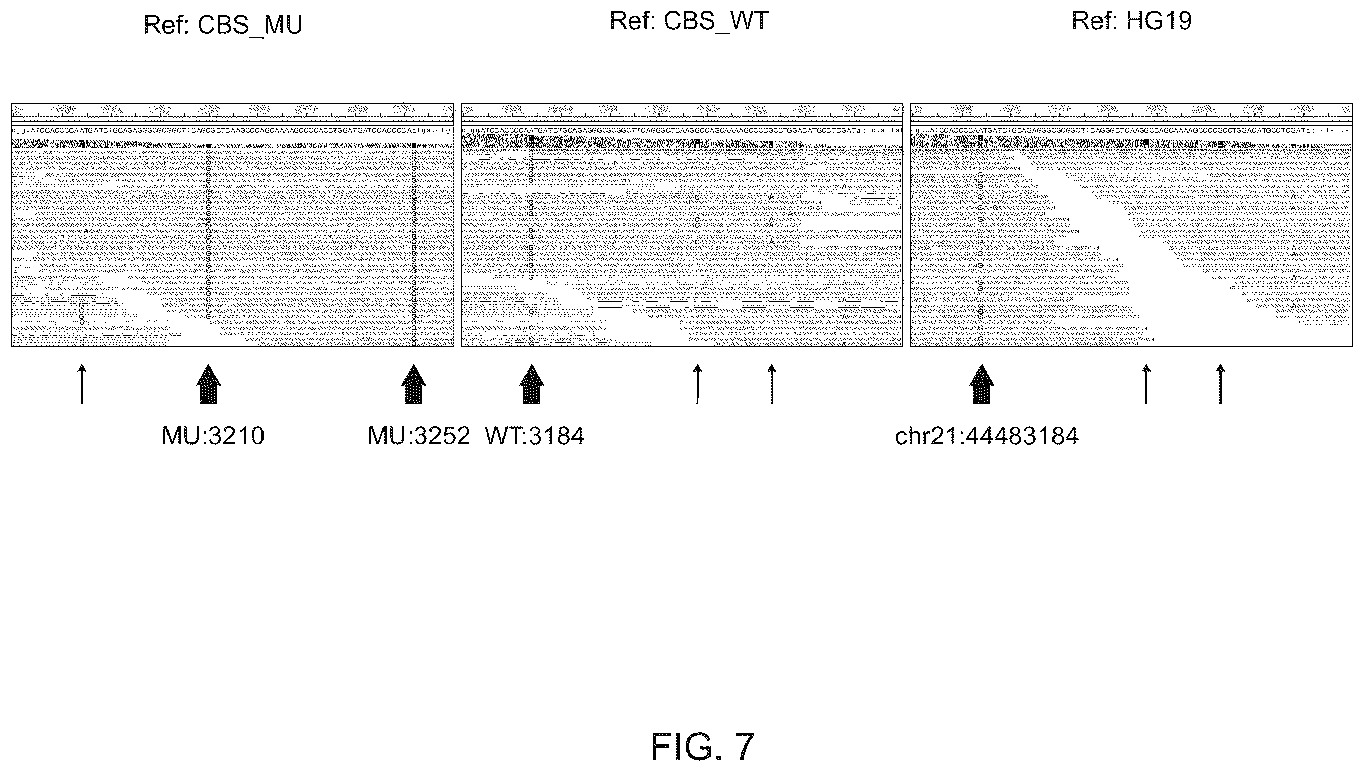 Patent US12562237 Figure 8 – Methods and systems for detection and phasing of complex genetic variants
