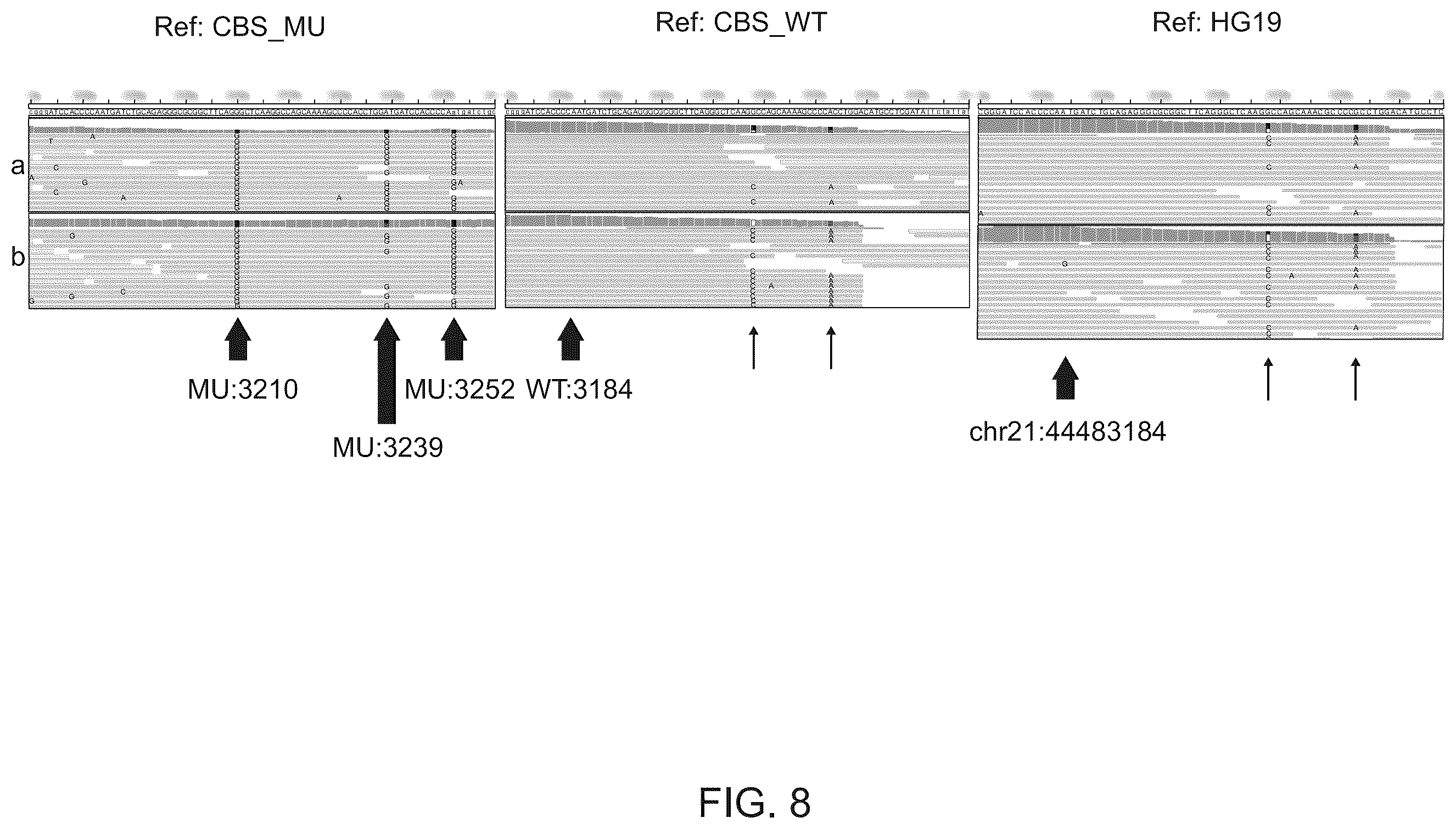 Patent US12562237 Figure 9 – Methods and systems for detection and phasing of complex genetic variants