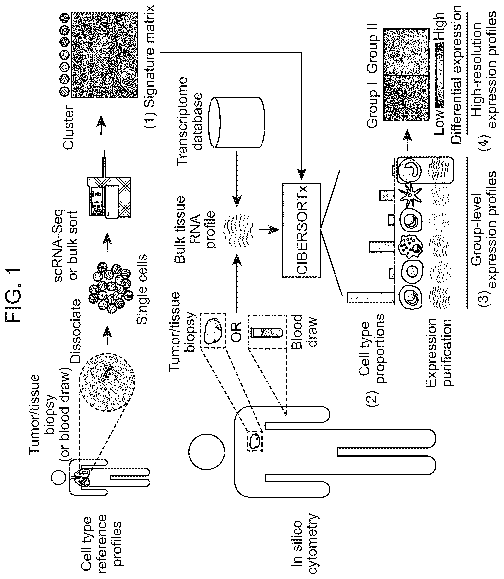 Patent US12562239 Figure 1 – Systems and methods for analyzing mixed cell populations