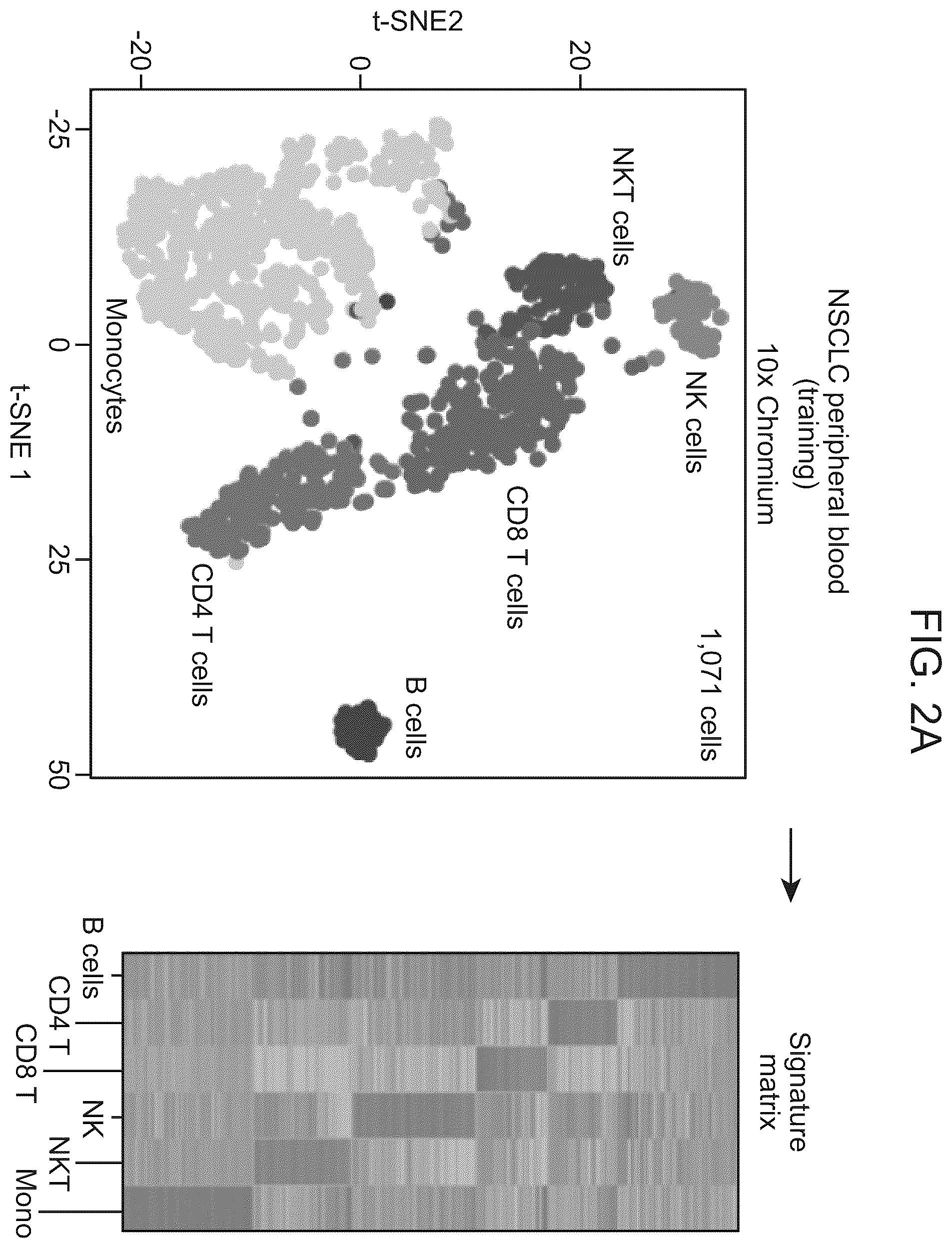 Patent US12562239 Figure 2 – Systems and methods for analyzing mixed cell populations