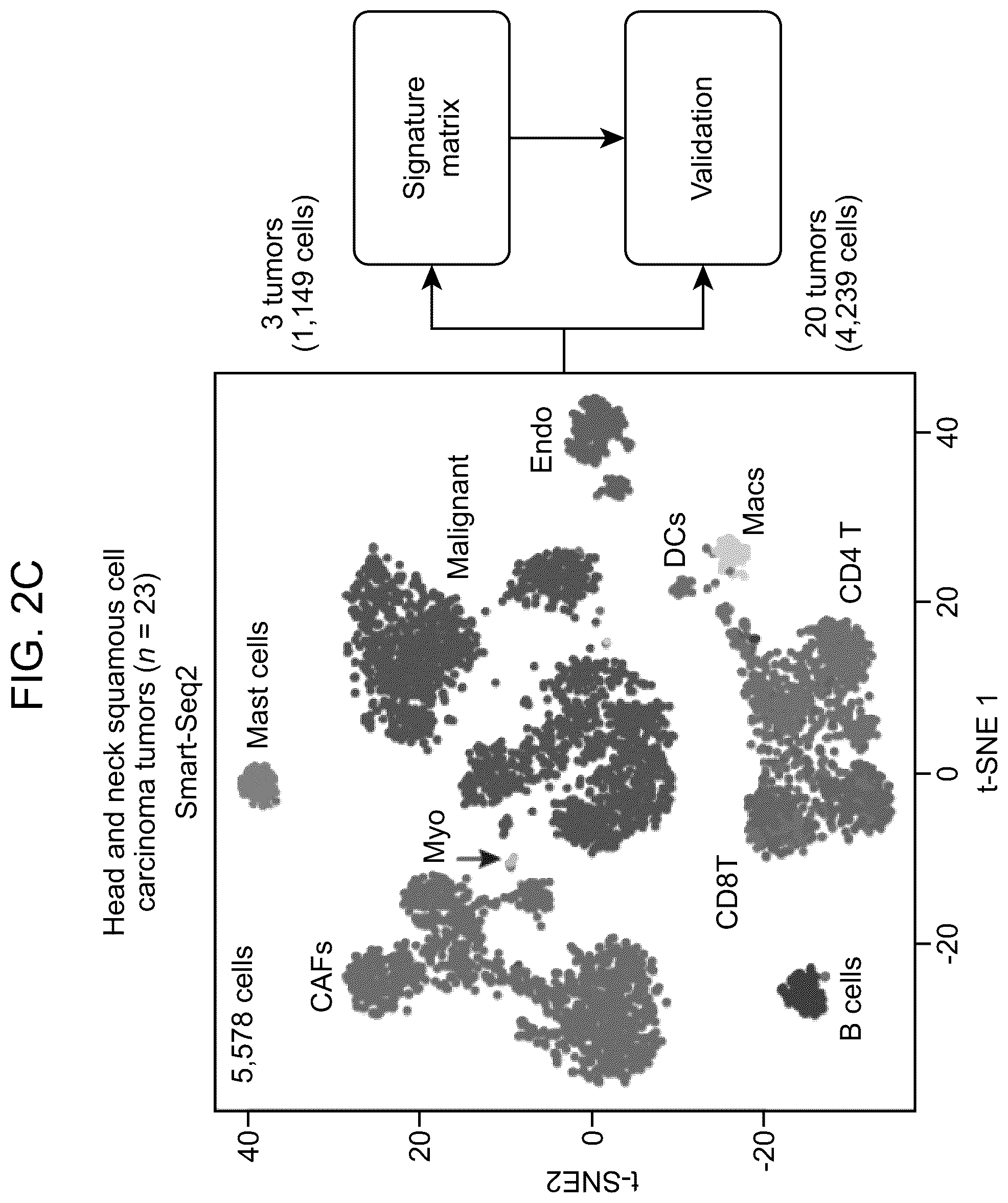 Patent US12562239 Figure 4 – Systems and methods for analyzing mixed cell populations