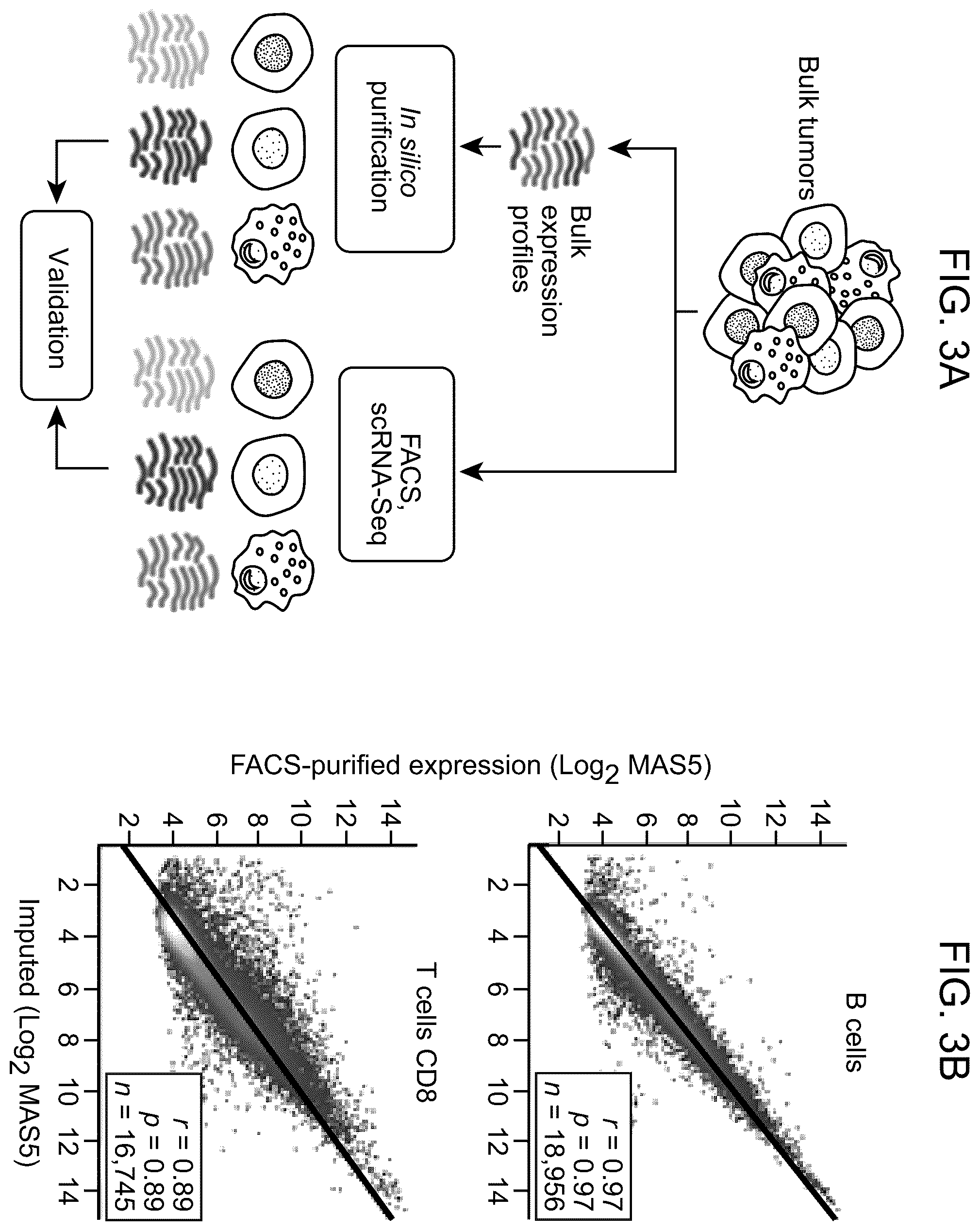 Patent US12562239 Figure 9 – Systems and methods for analyzing mixed cell populations