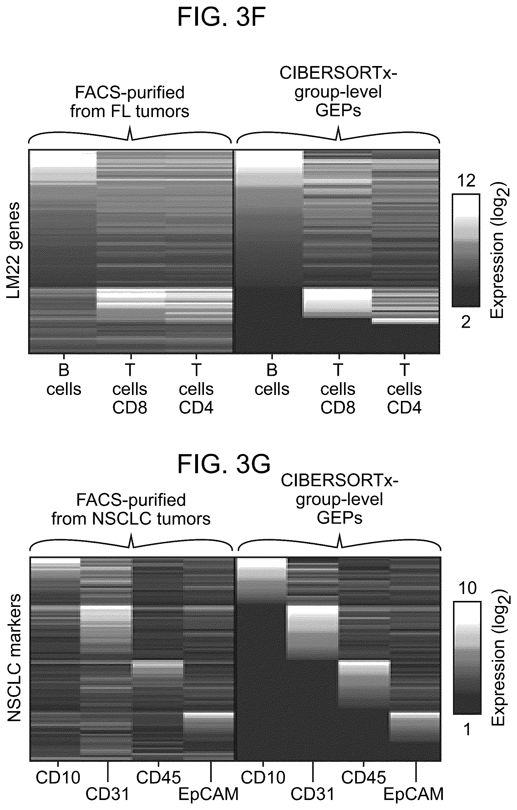 Patent US12562239 Figure 12 – Systems and methods for analyzing mixed cell populations