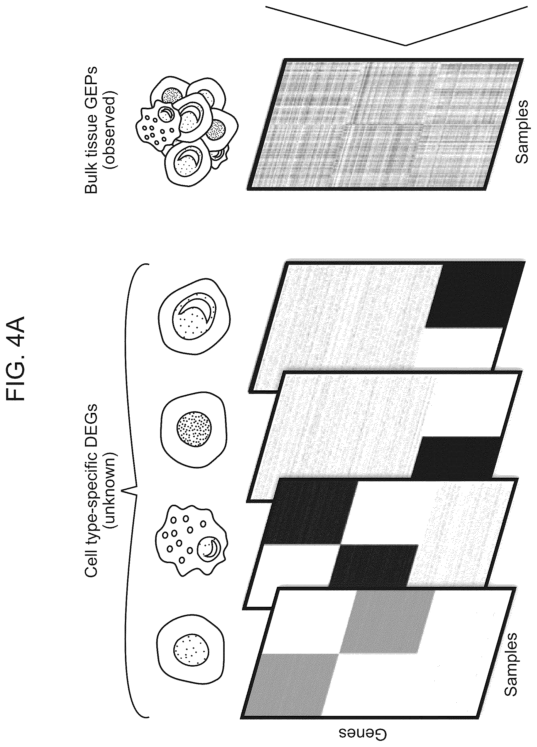 Patent US12562239 Figure 13 – Systems and methods for analyzing mixed cell populations