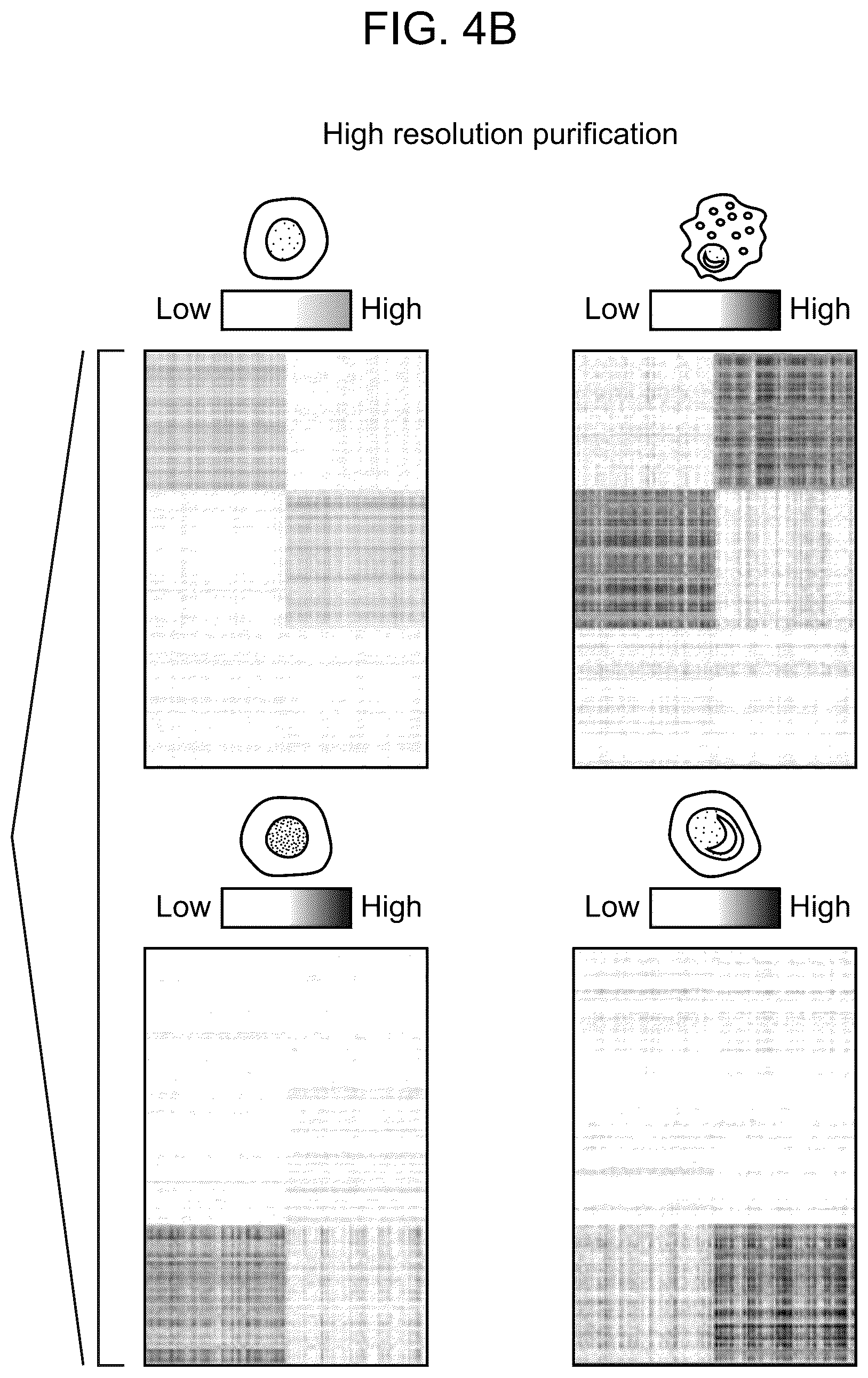 Patent US12562239 Figure 14 – Systems and methods for analyzing mixed cell populations