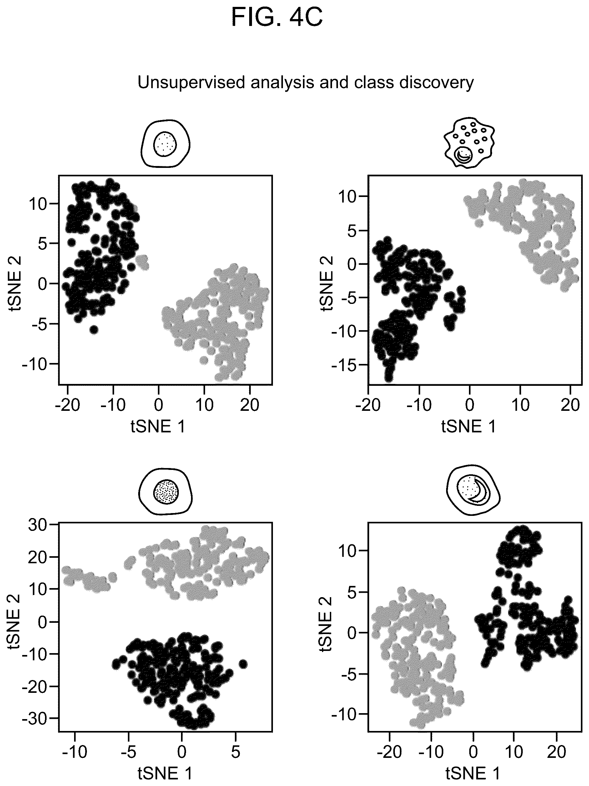 Patent US12562239 Figure 15 – Systems and methods for analyzing mixed cell populations