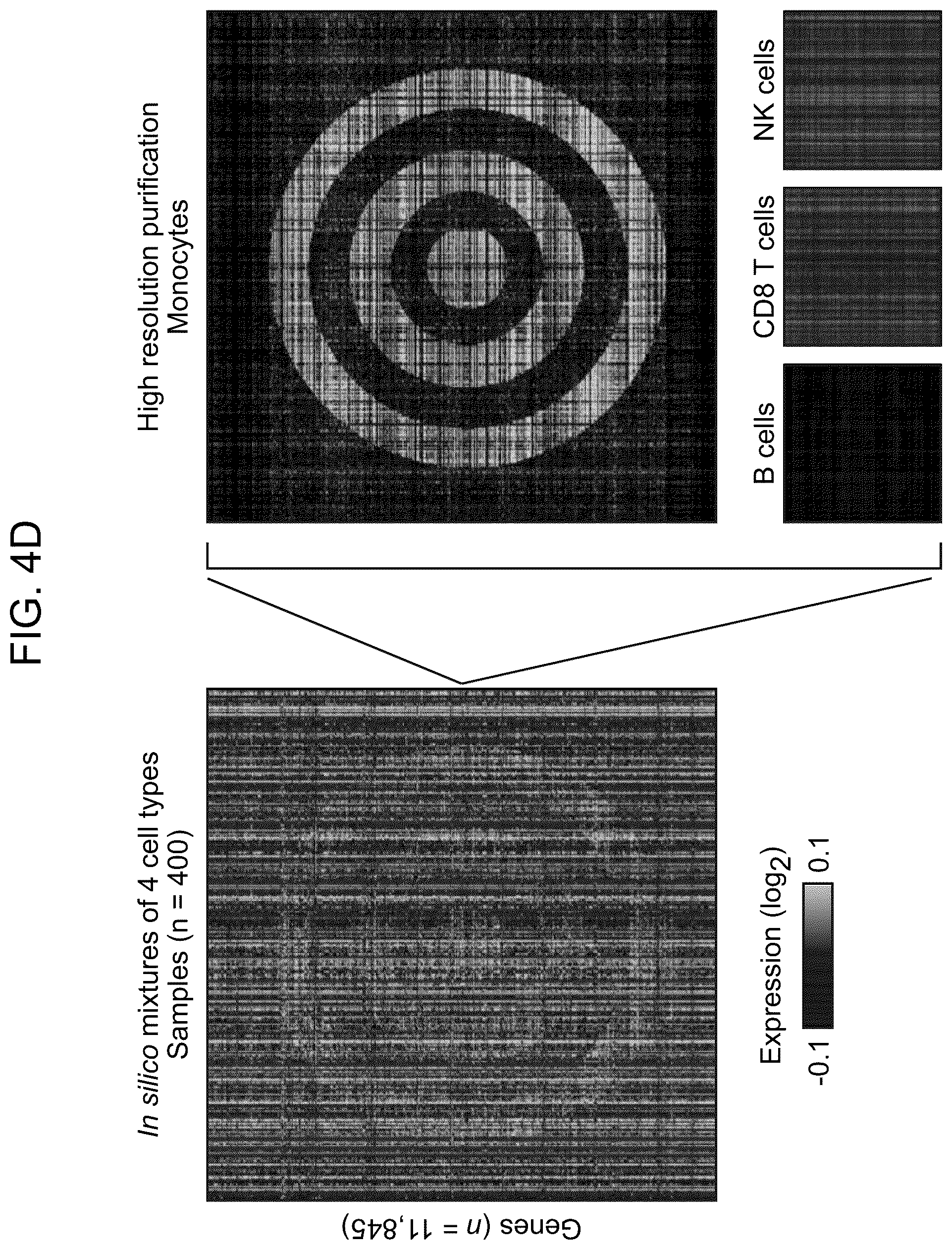 Patent US12562239 Figure 16 – Systems and methods for analyzing mixed cell populations