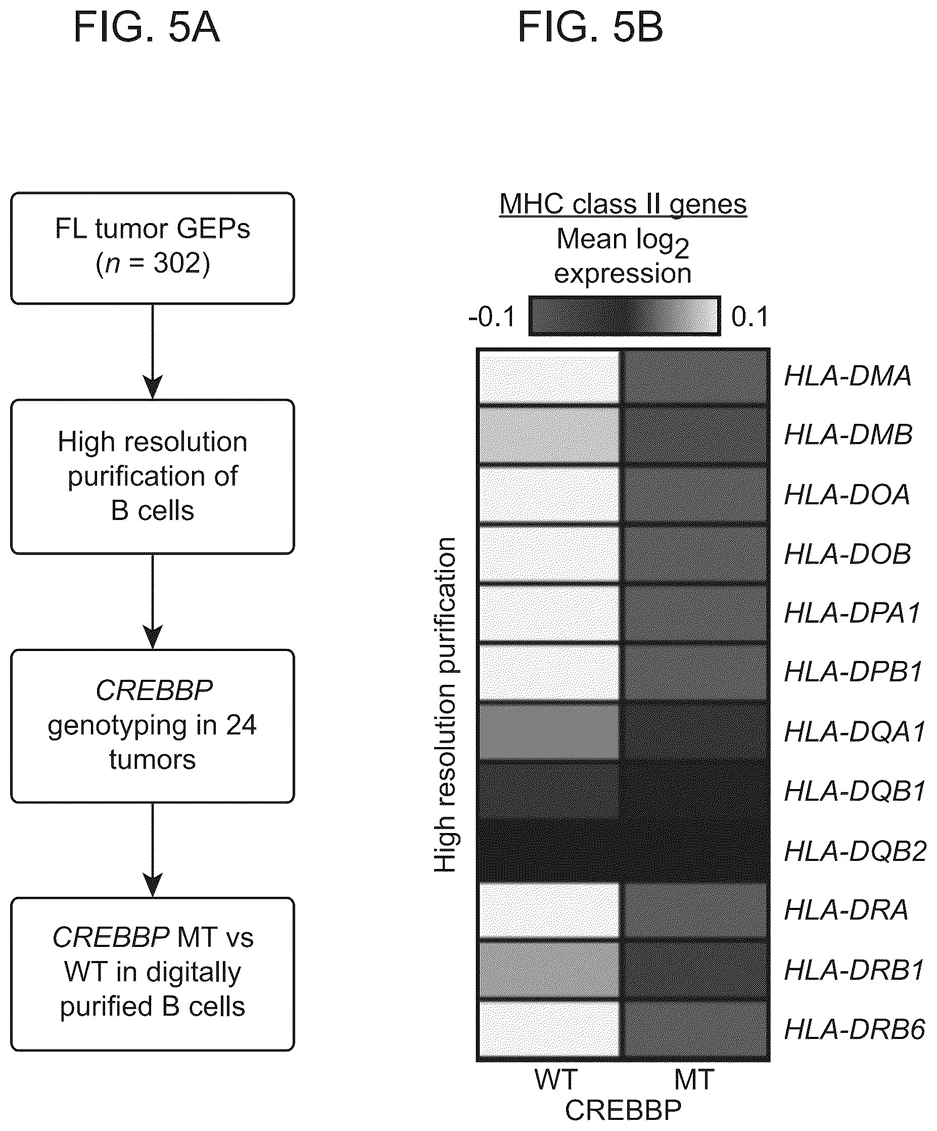 Patent US12562239 Figure 18 – Systems and methods for analyzing mixed cell populations