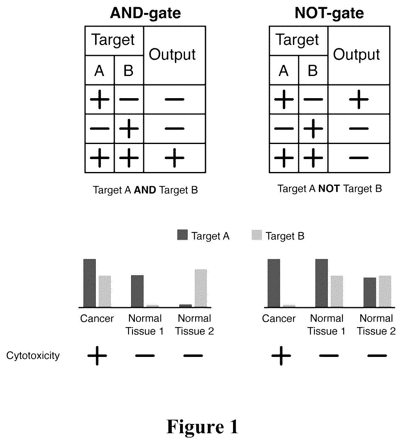 Patent US12562256 Figure 1 – Systems, methods and computer-accessible medium for identifying target pairs for CAR-T therapy
