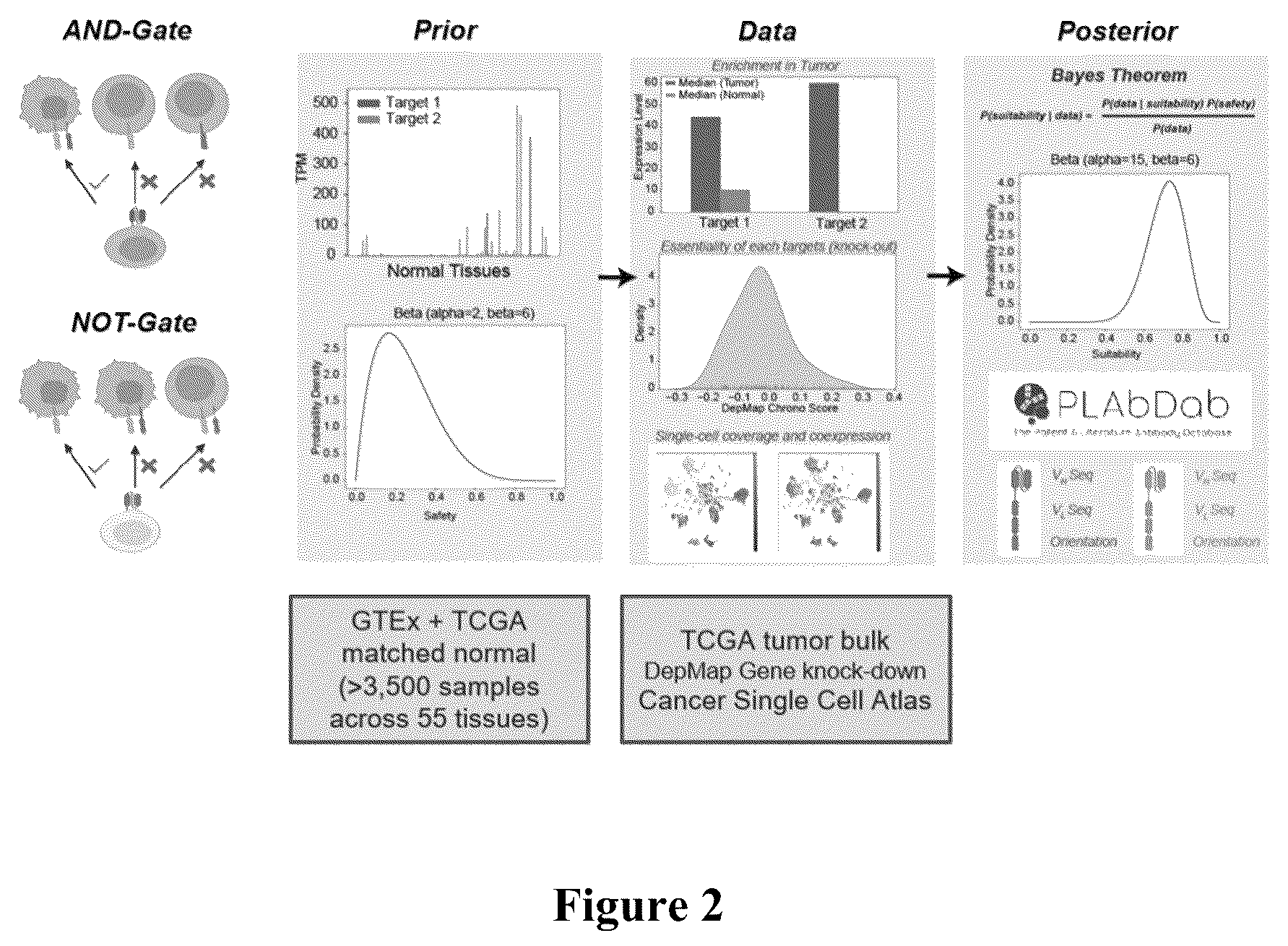 Patent US12562256 Figure 2 – Systems, methods and computer-accessible medium for identifying target pairs for CAR-T therapy
