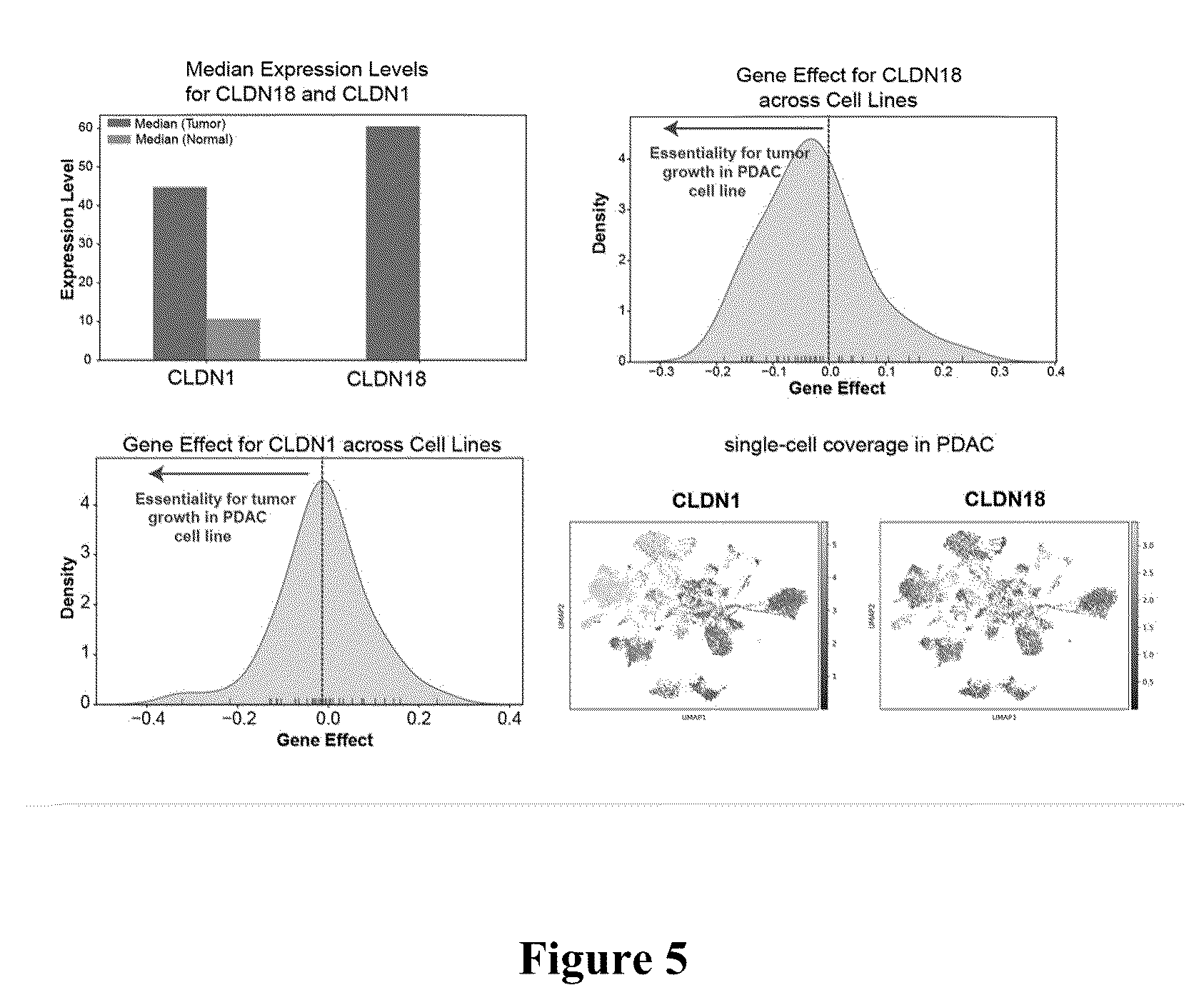 Patent US12562256 Figure 5 – Systems, methods and computer-accessible medium for identifying target pairs for CAR-T therapy