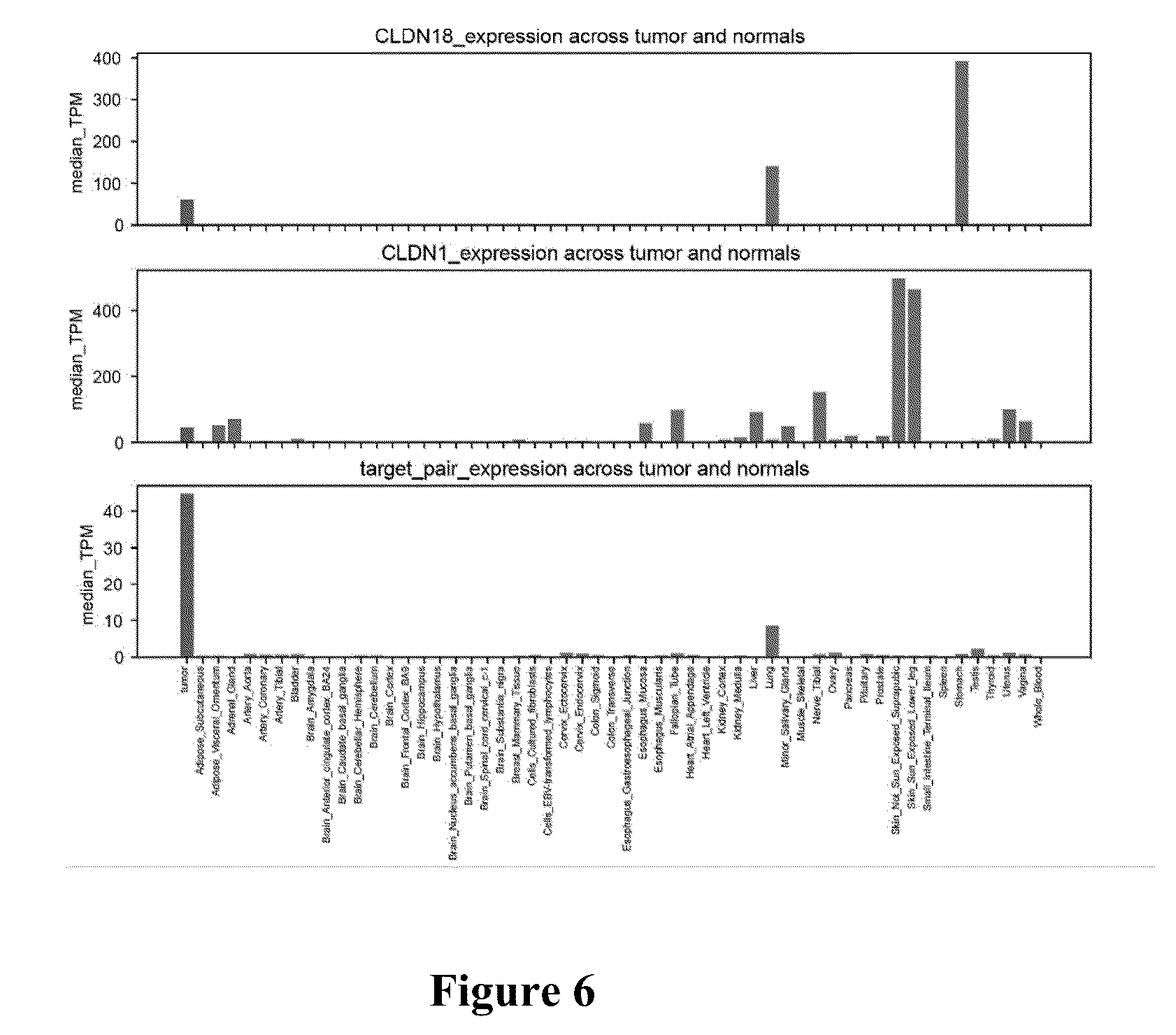 Patent US12562256 Figure 6 – Systems, methods and computer-accessible medium for identifying target pairs for CAR-T therapy