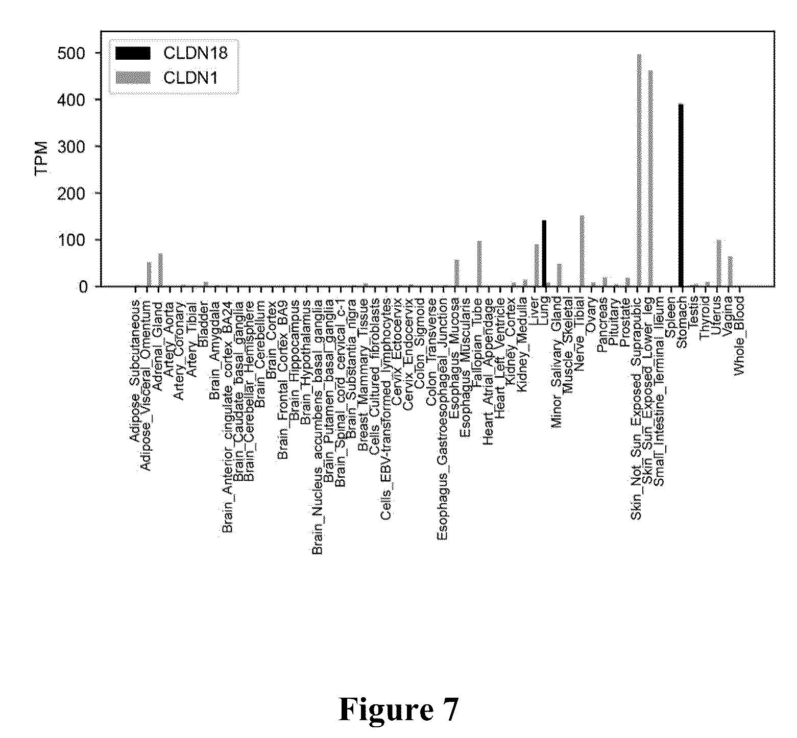 Patent US12562256 Figure 7 – Systems, methods and computer-accessible medium for identifying target pairs for CAR-T therapy