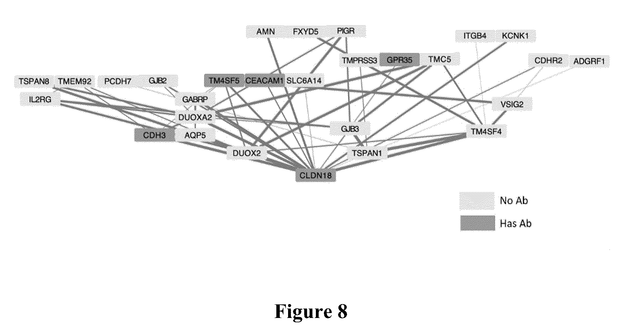 Patent US12562256 Figure 8 – Systems, methods and computer-accessible medium for identifying target pairs for CAR-T therapy