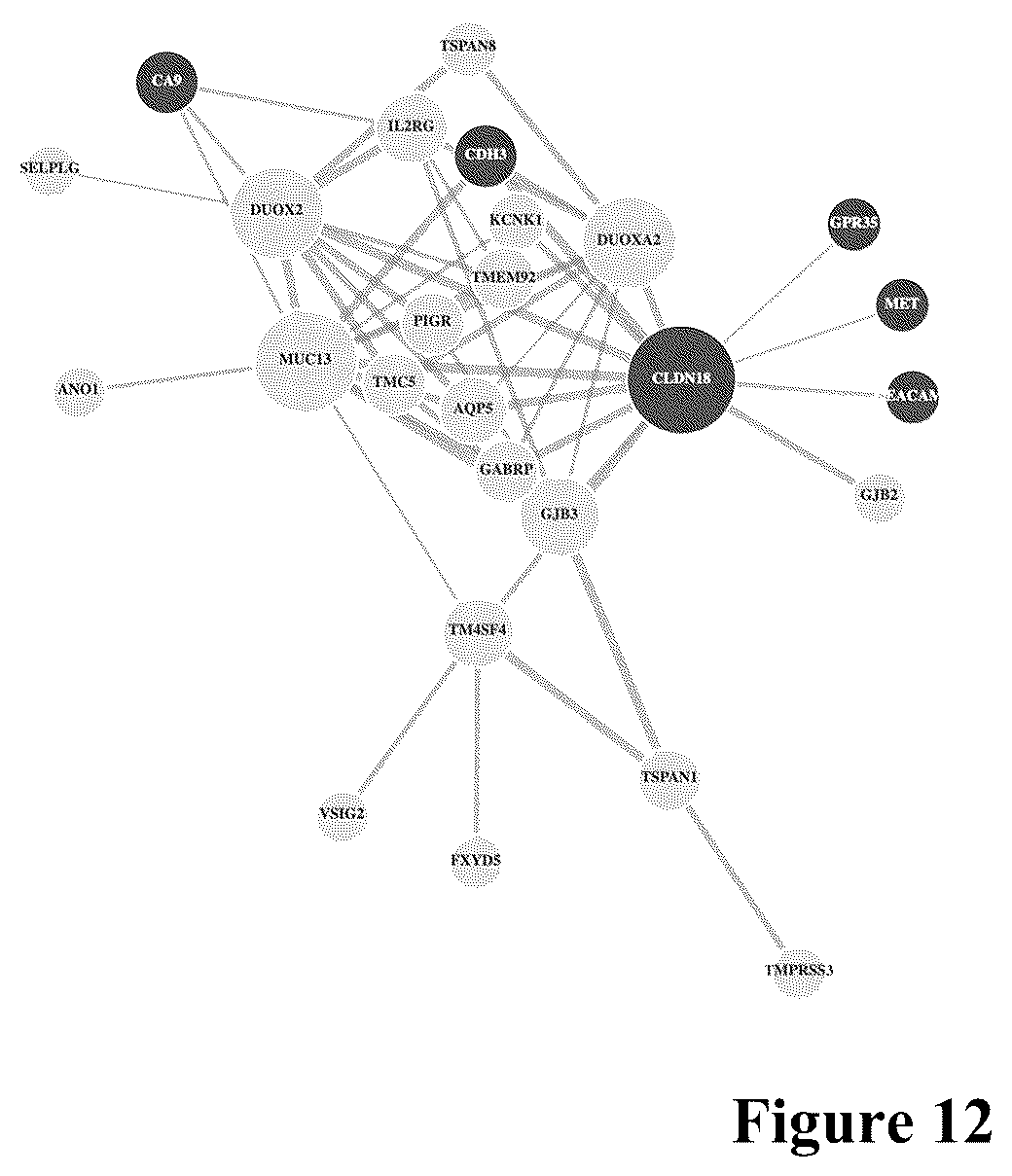 Patent US12562256 Figure 12 – Systems, methods and computer-accessible medium for identifying target pairs for CAR-T therapy