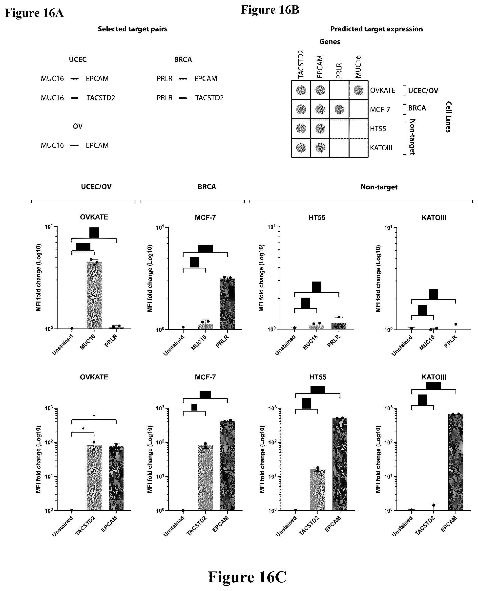 Patent US12562256 Figure 16 – Systems, methods and computer-accessible medium for identifying target pairs for CAR-T therapy
