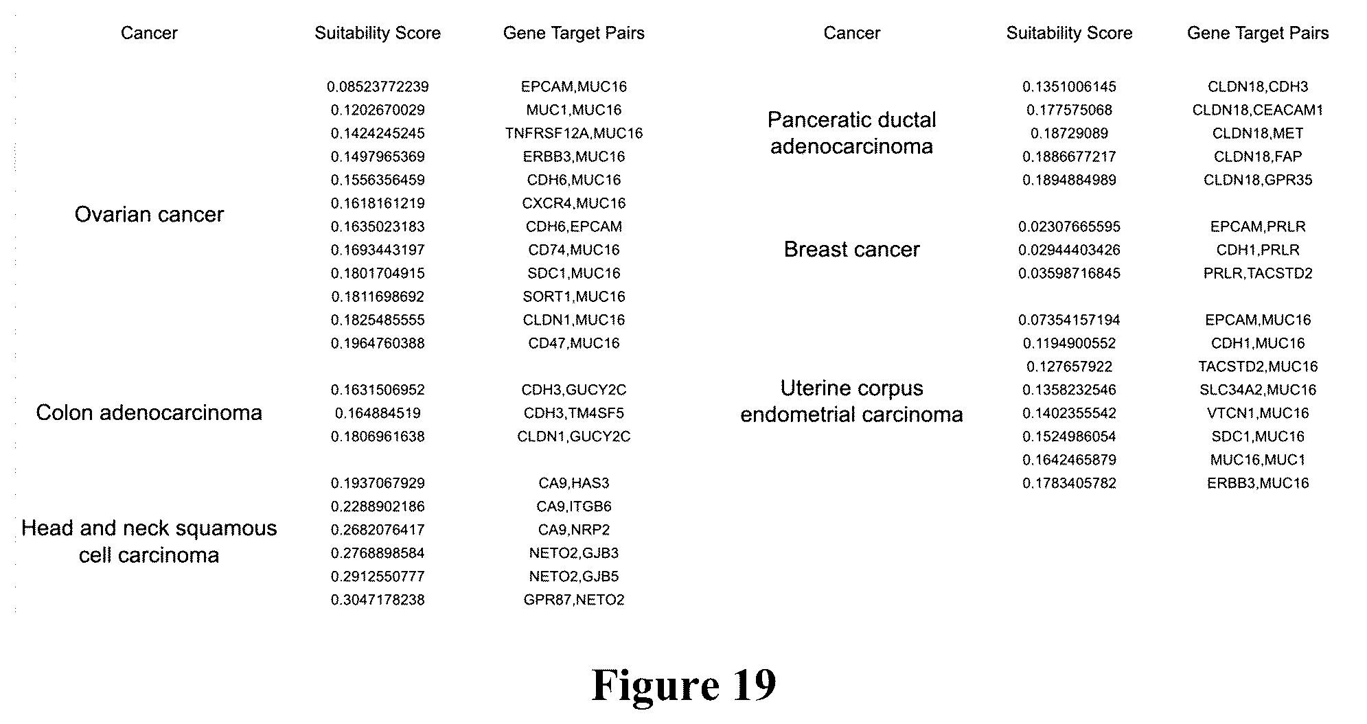 Patent US12562256 Figure 19 – Systems, methods and computer-accessible medium for identifying target pairs for CAR-T therapy