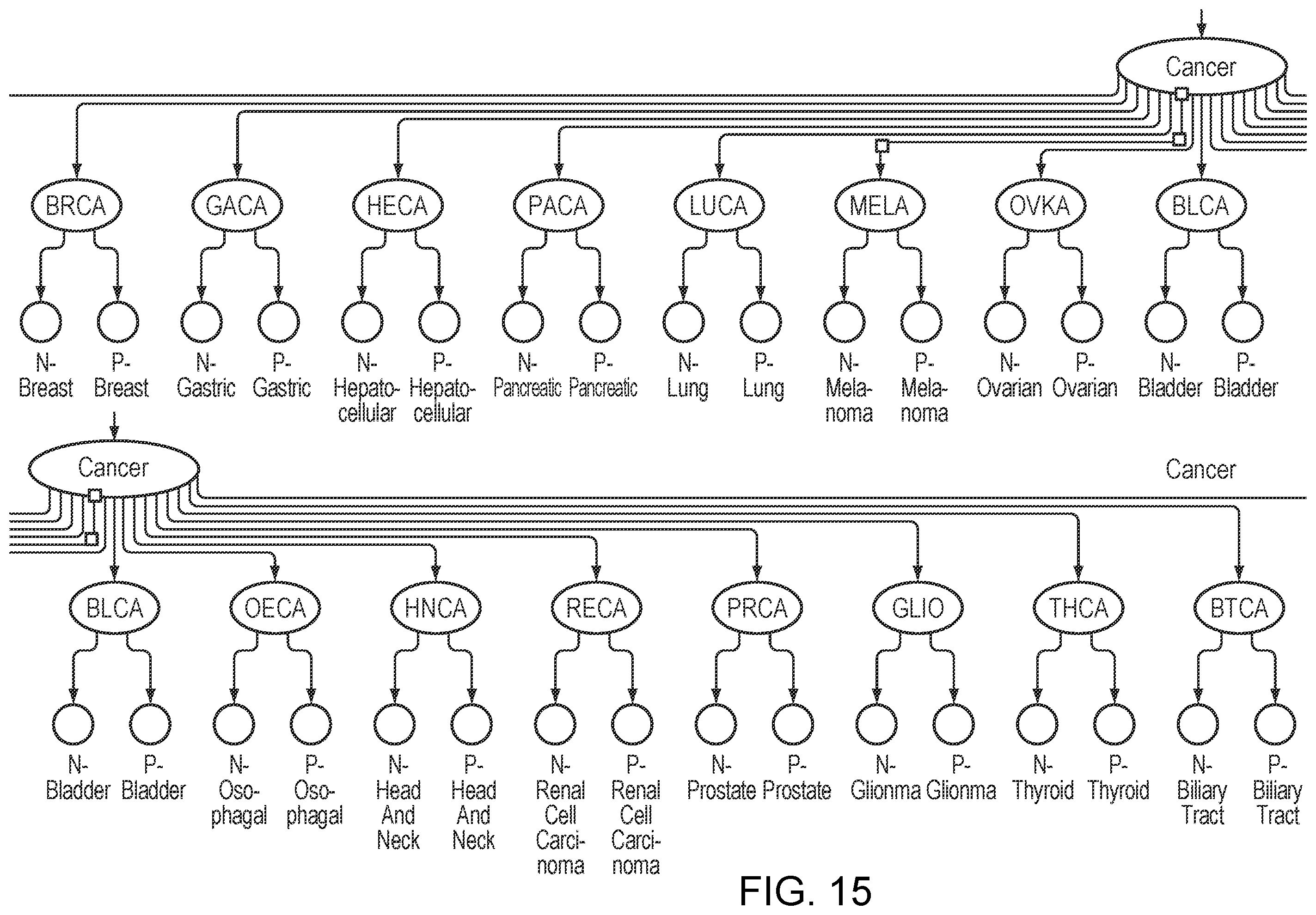 Patent US12562281 Figure 15 – Predictive risk assessment in patient and health modeling