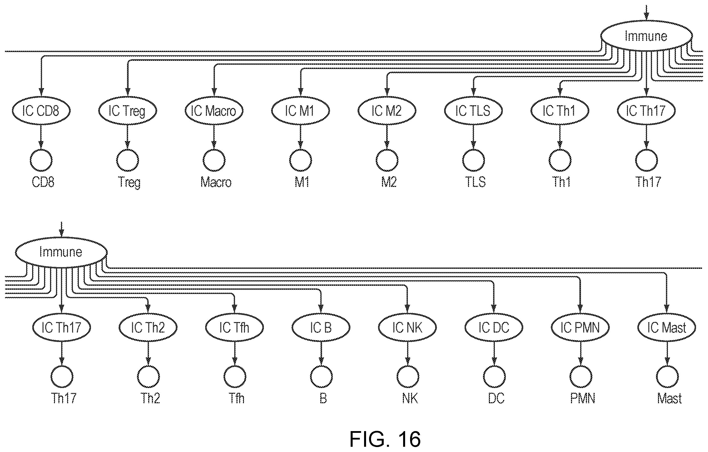 Patent US12562281 Figure 16 – Predictive risk assessment in patient and health modeling
