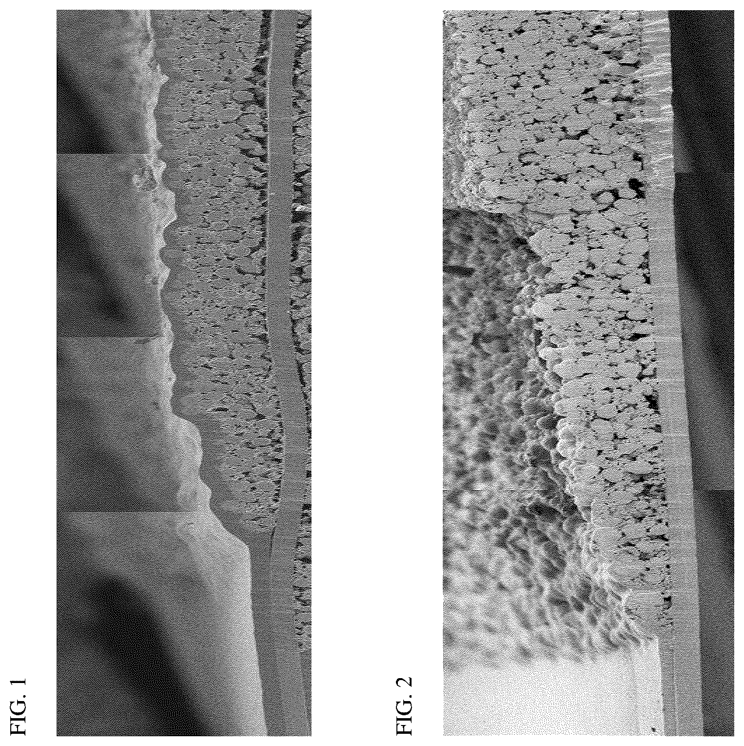 Patent US12562370 Figure 1 – Electrode for lithium secondary battery, method of preparing the same and lithium secondary battery including the same