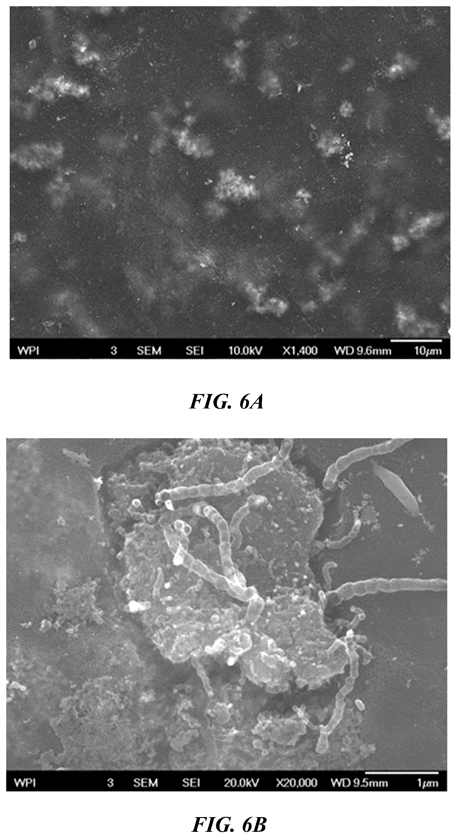 Patent US12562376 Figure 6 – Polyimide bead materials and methods of manufacture thereof