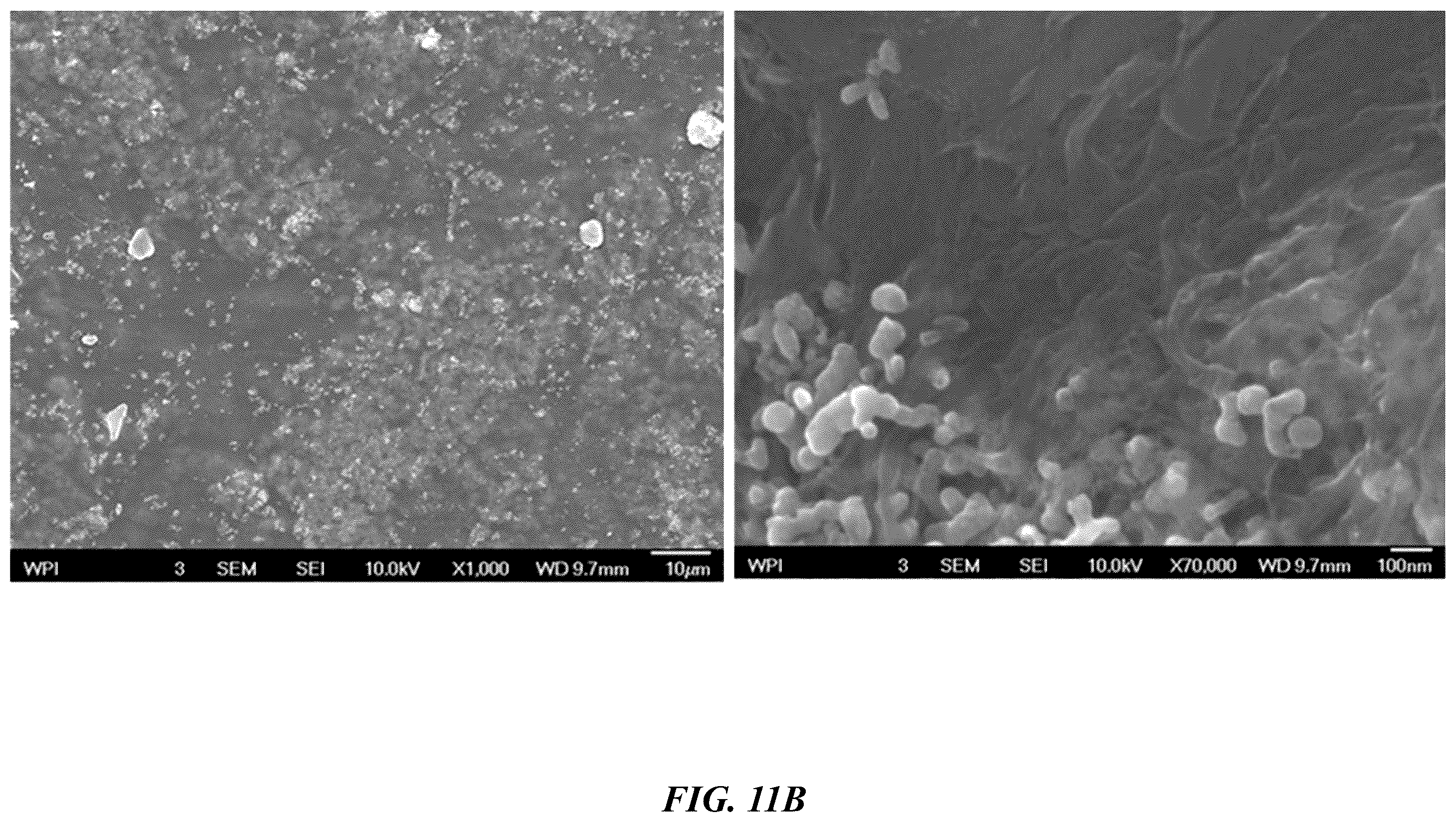 Patent US12562376 Figure 12 – Polyimide bead materials and methods of manufacture thereof