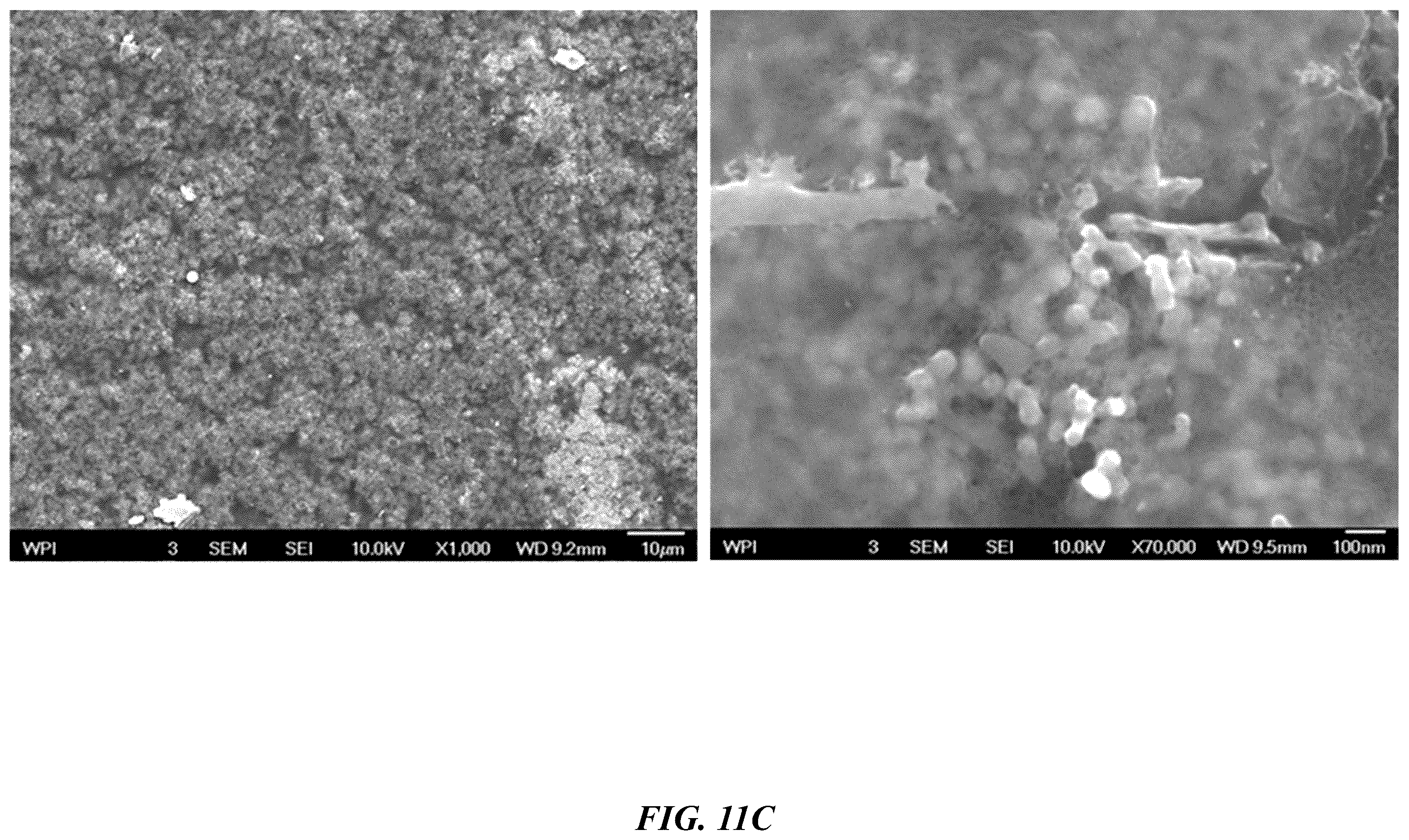 Patent US12562376 Figure 13 – Polyimide bead materials and methods of manufacture thereof