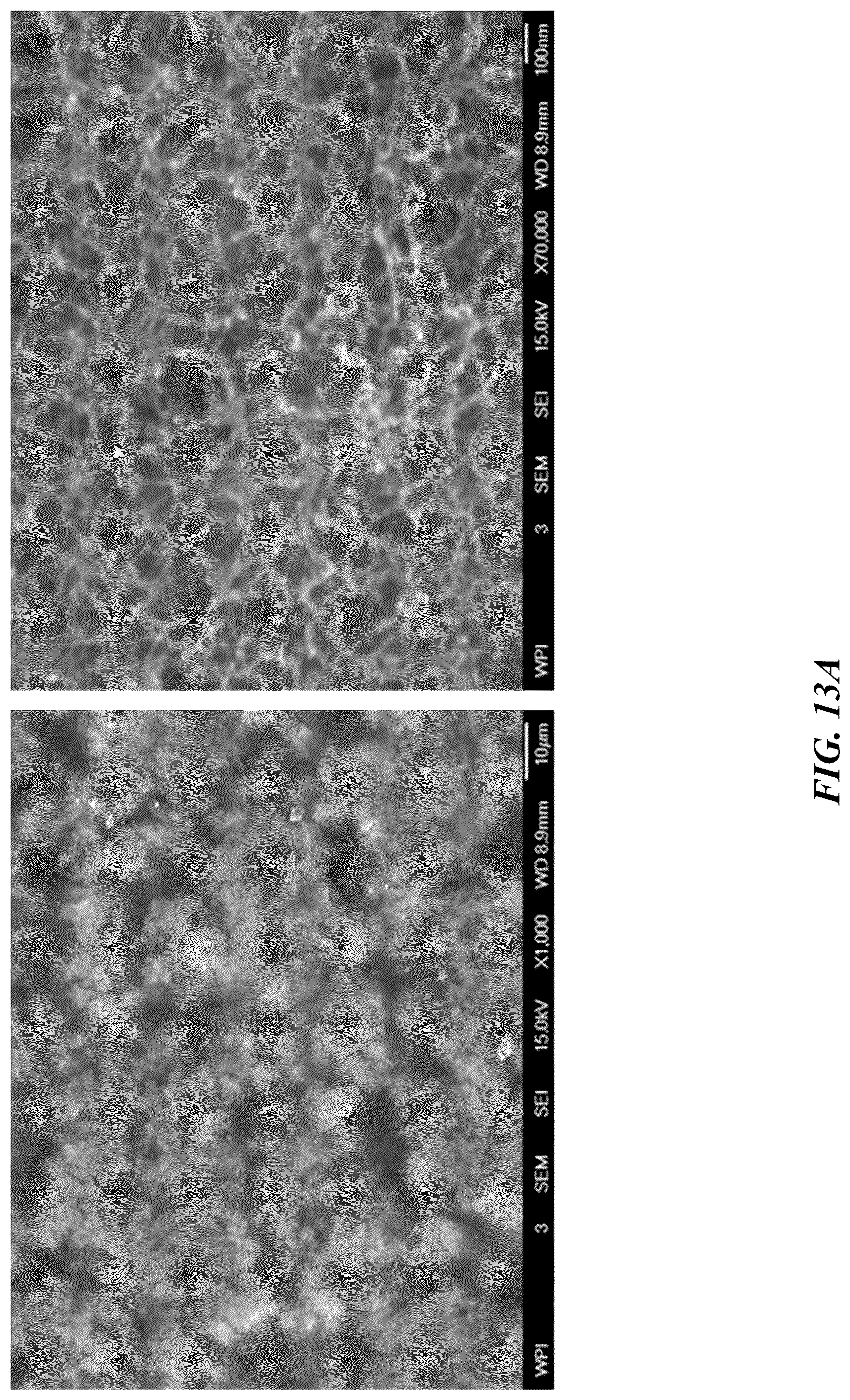 Patent US12562376 Figure 20 – Polyimide bead materials and methods of manufacture thereof