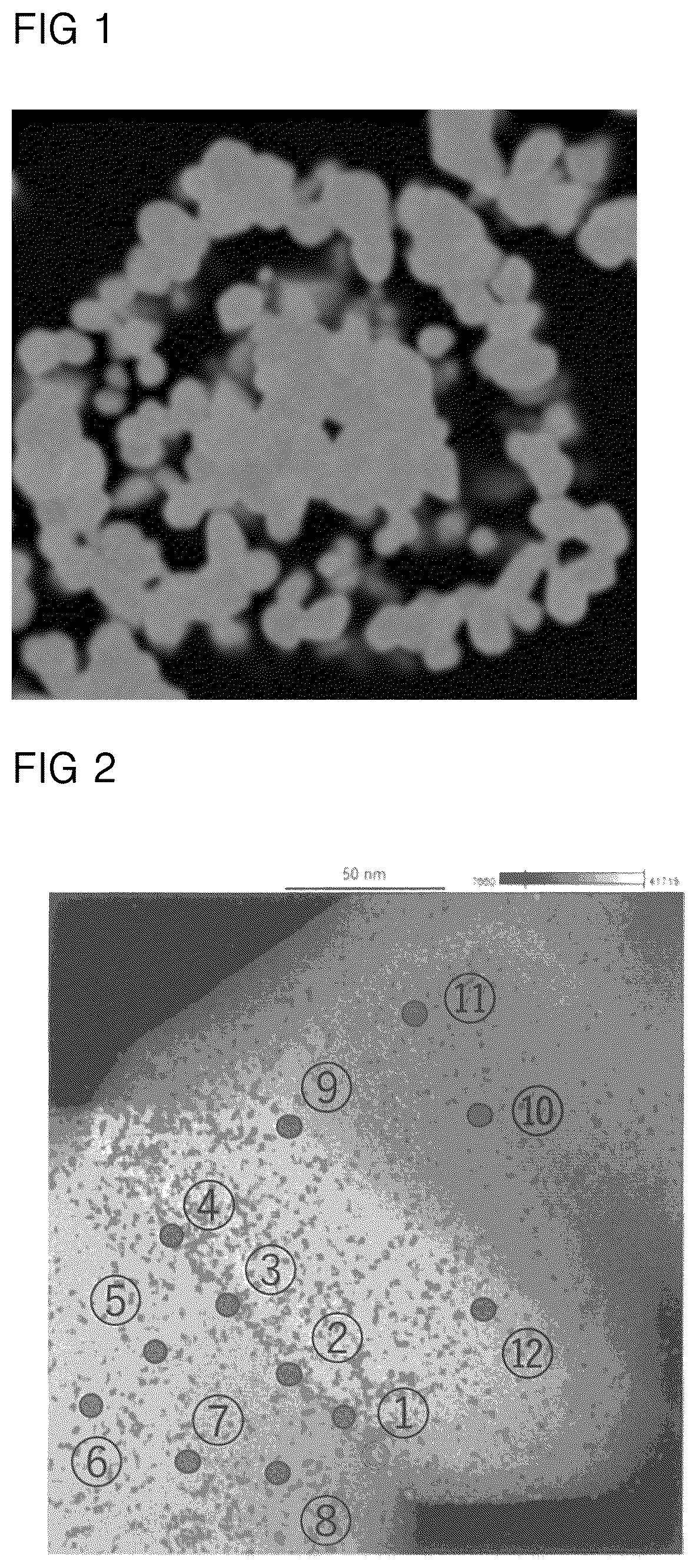 Patent US12562383 Figure 1 – Positive electrode active material for lithium ion secondary battery and lithium ion secondary battery