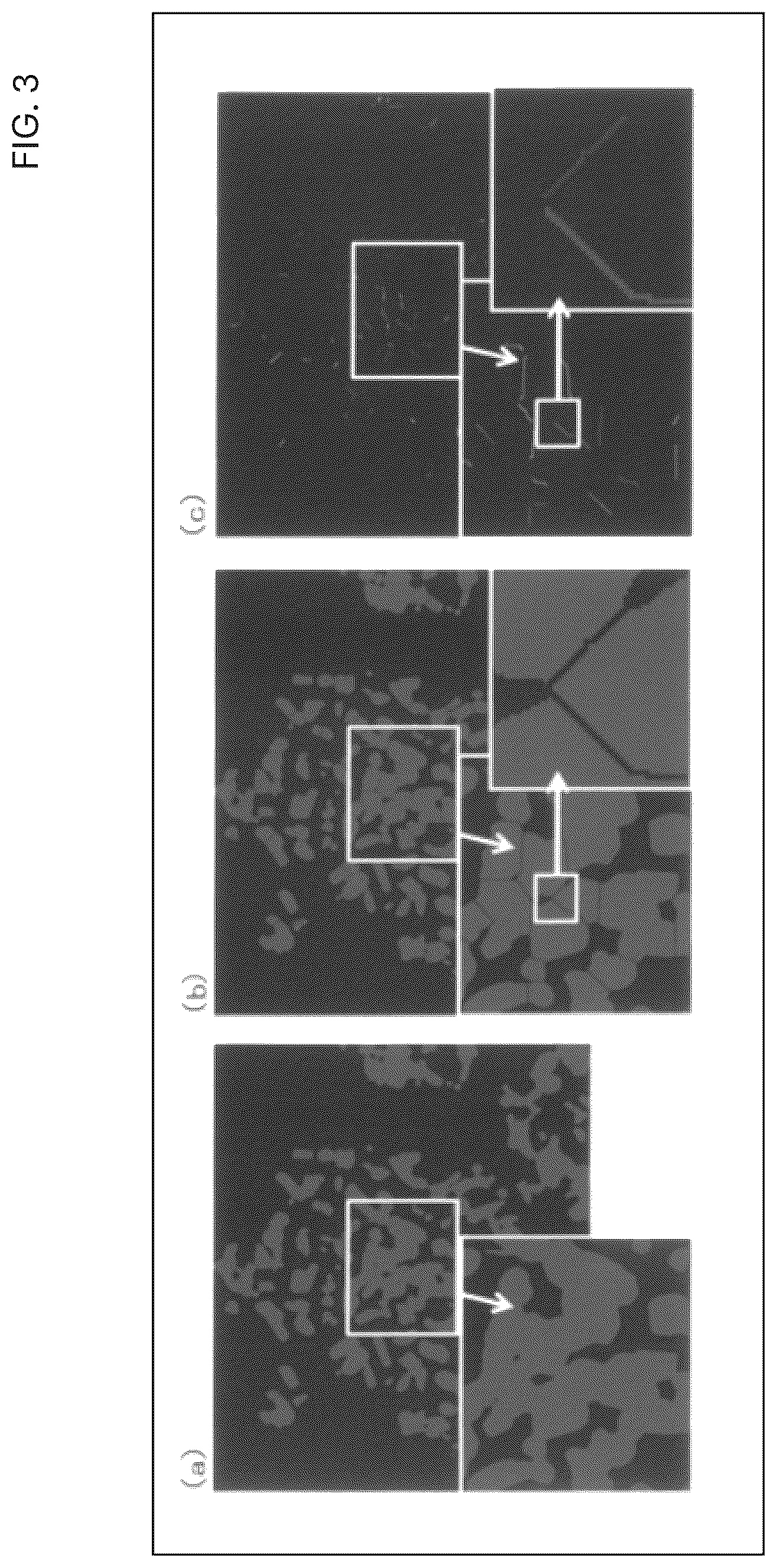 Patent US12562383 Figure 2 – Positive electrode active material for lithium ion secondary battery and lithium ion secondary battery